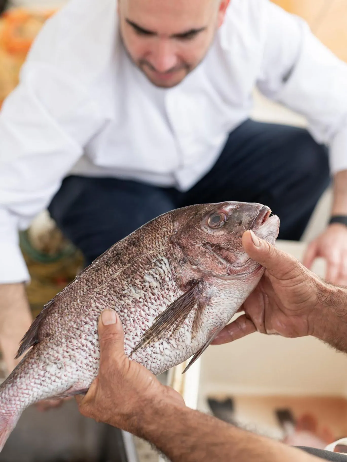 People in Avaton Luxury Beach Resort - Relais & Chateaux