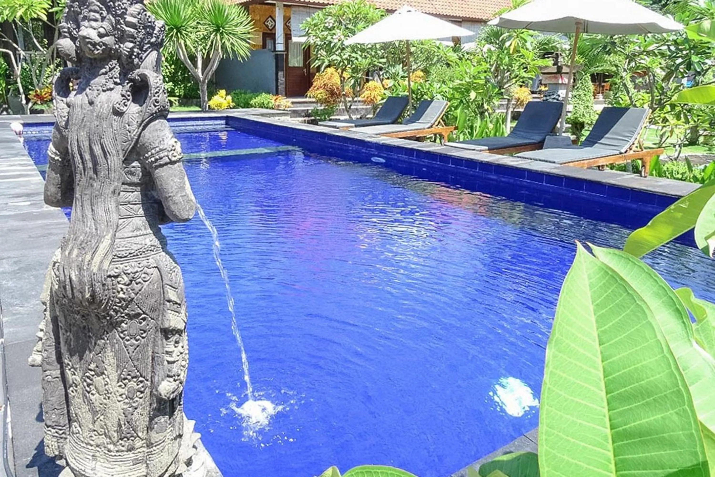 Swimming pool in Perdana Homestay Lembongan