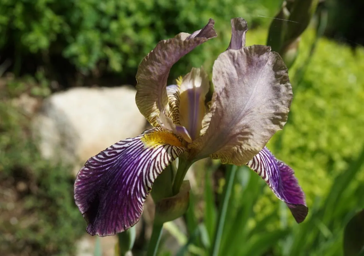 Property building in Logden Lodge