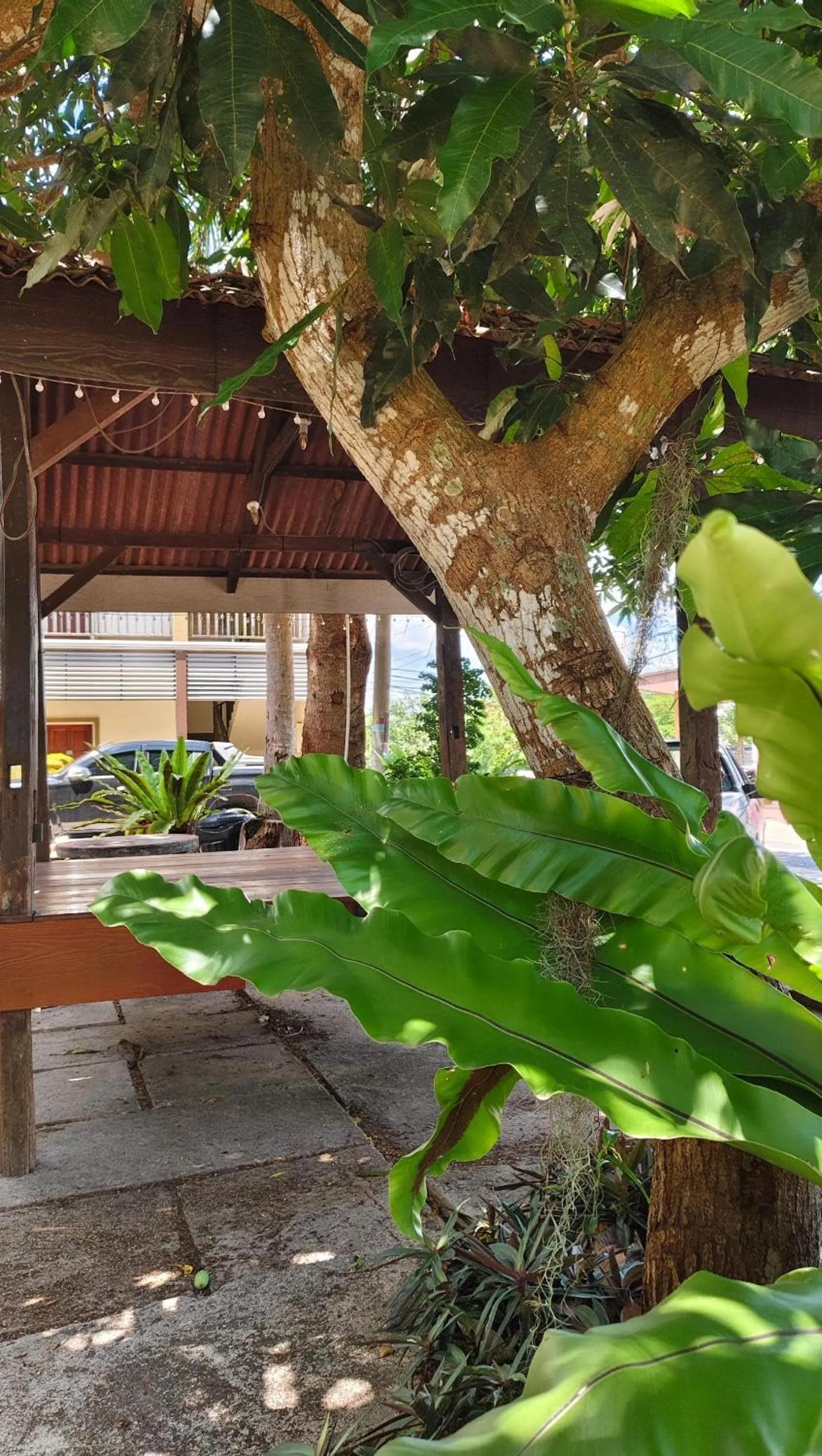 Property building in Casa Idaman Motel Langkawi