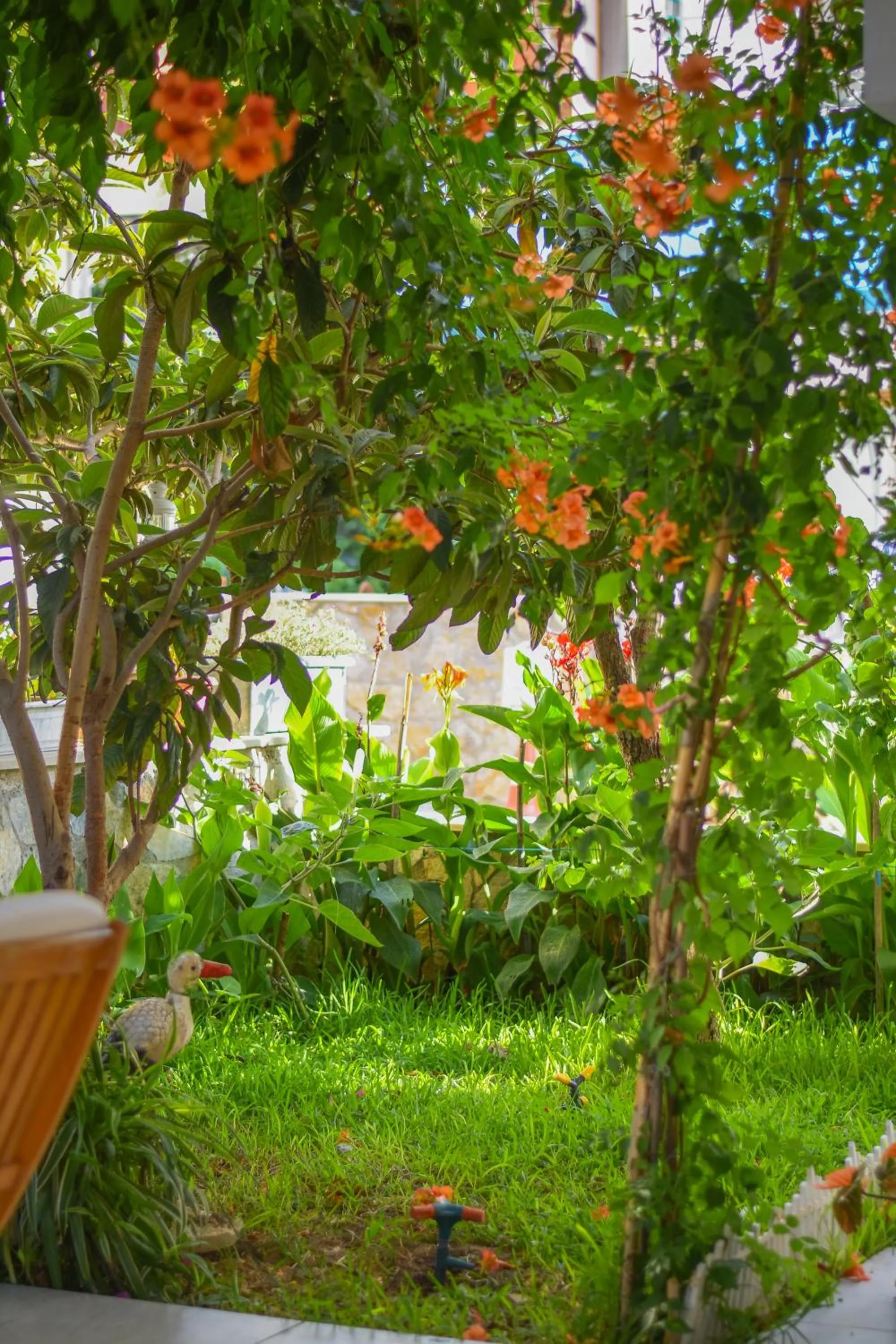 Spring in Kaya Apart Datca