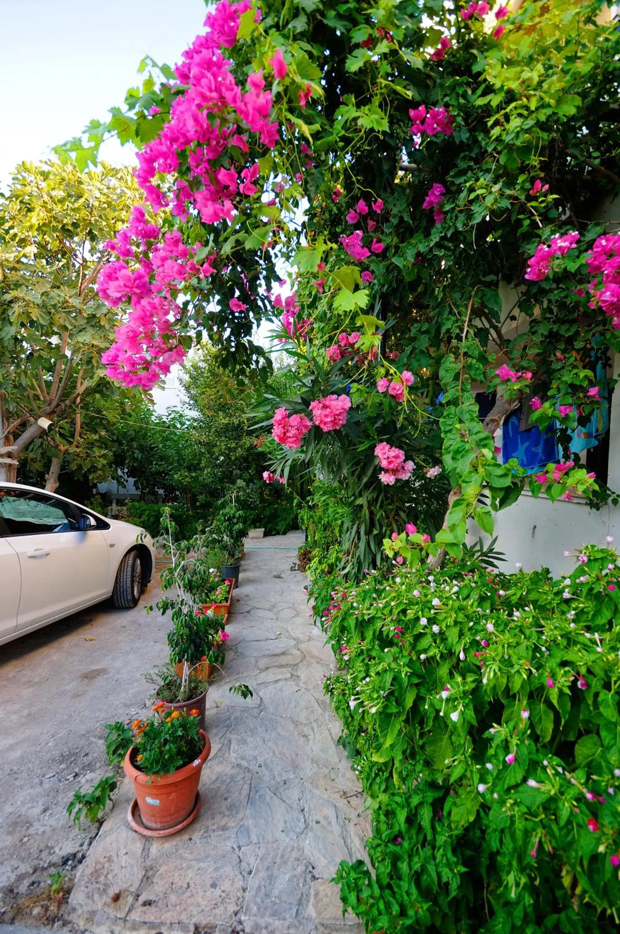 Two-Bedroom Apartment in Kaya Apart Datca Two-Bedroom Apartment in Kaya Apart Datca