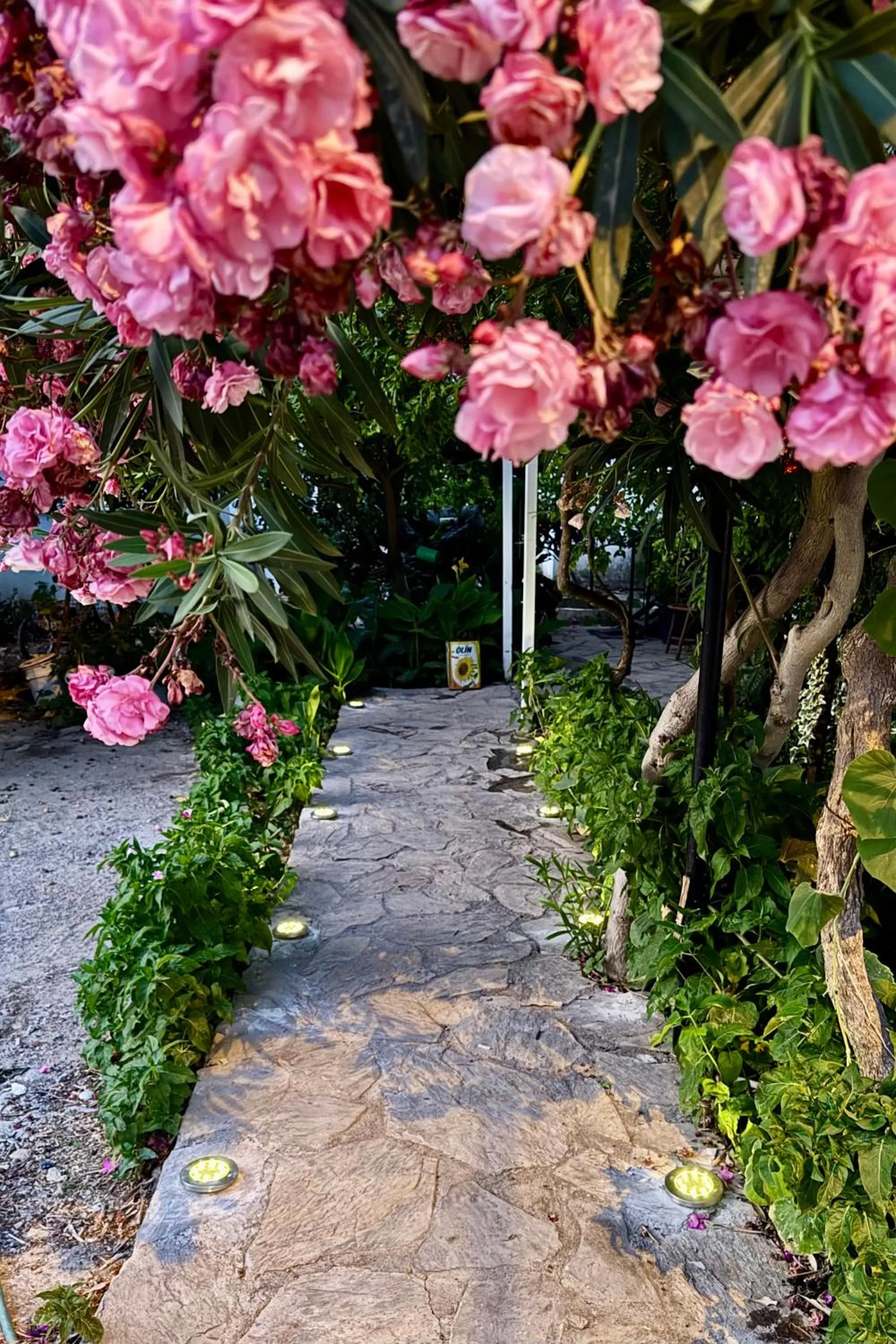 Patio in Kaya Apart Datca