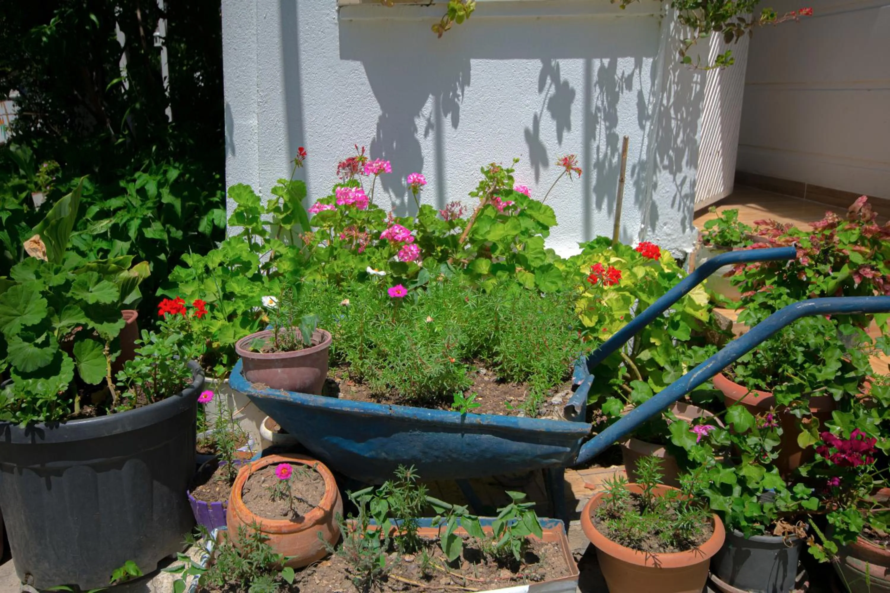 Balcony/Terrace in Kaya Apart Datca