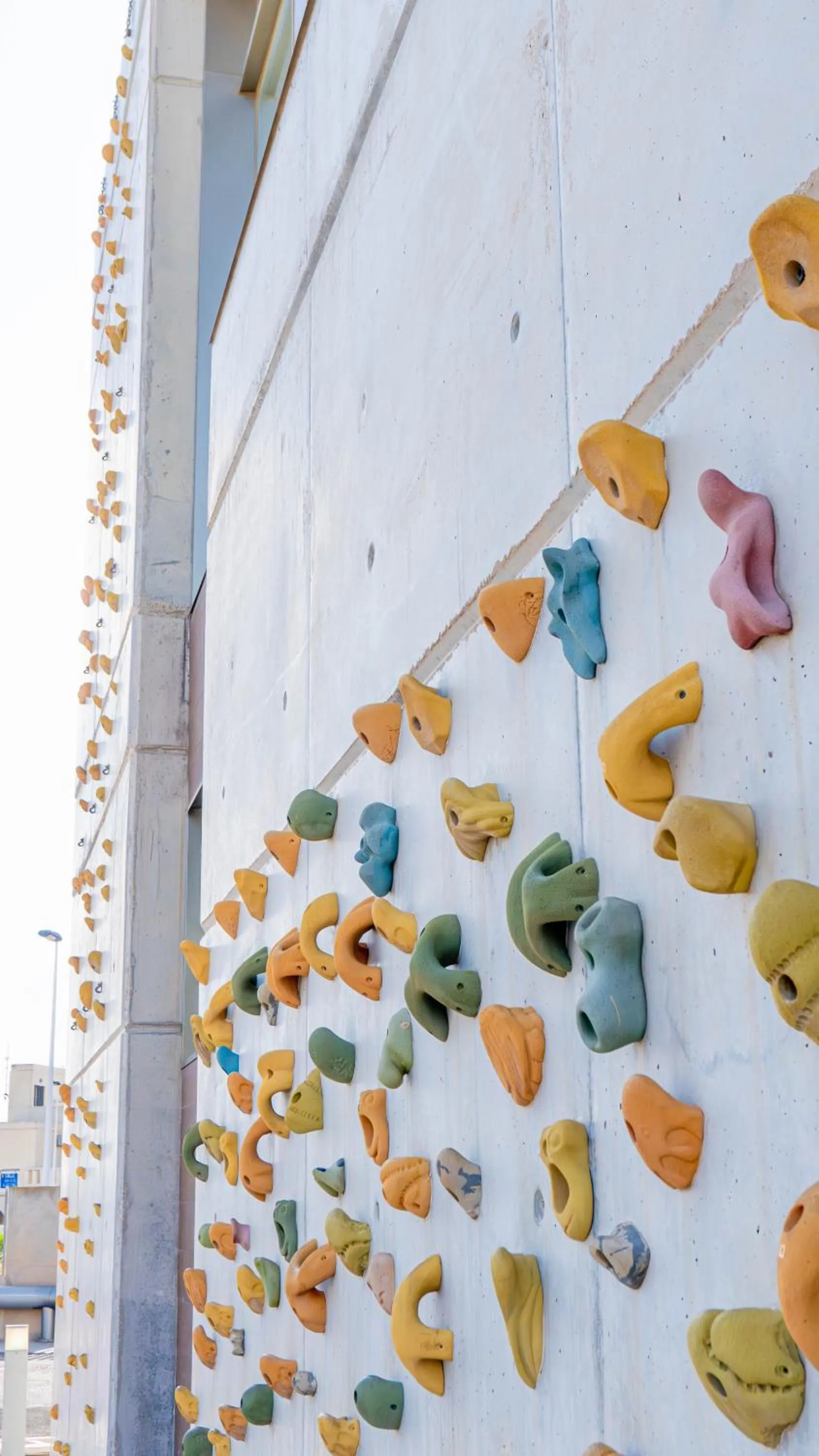 Area and facilities in Albergue Las Salinas