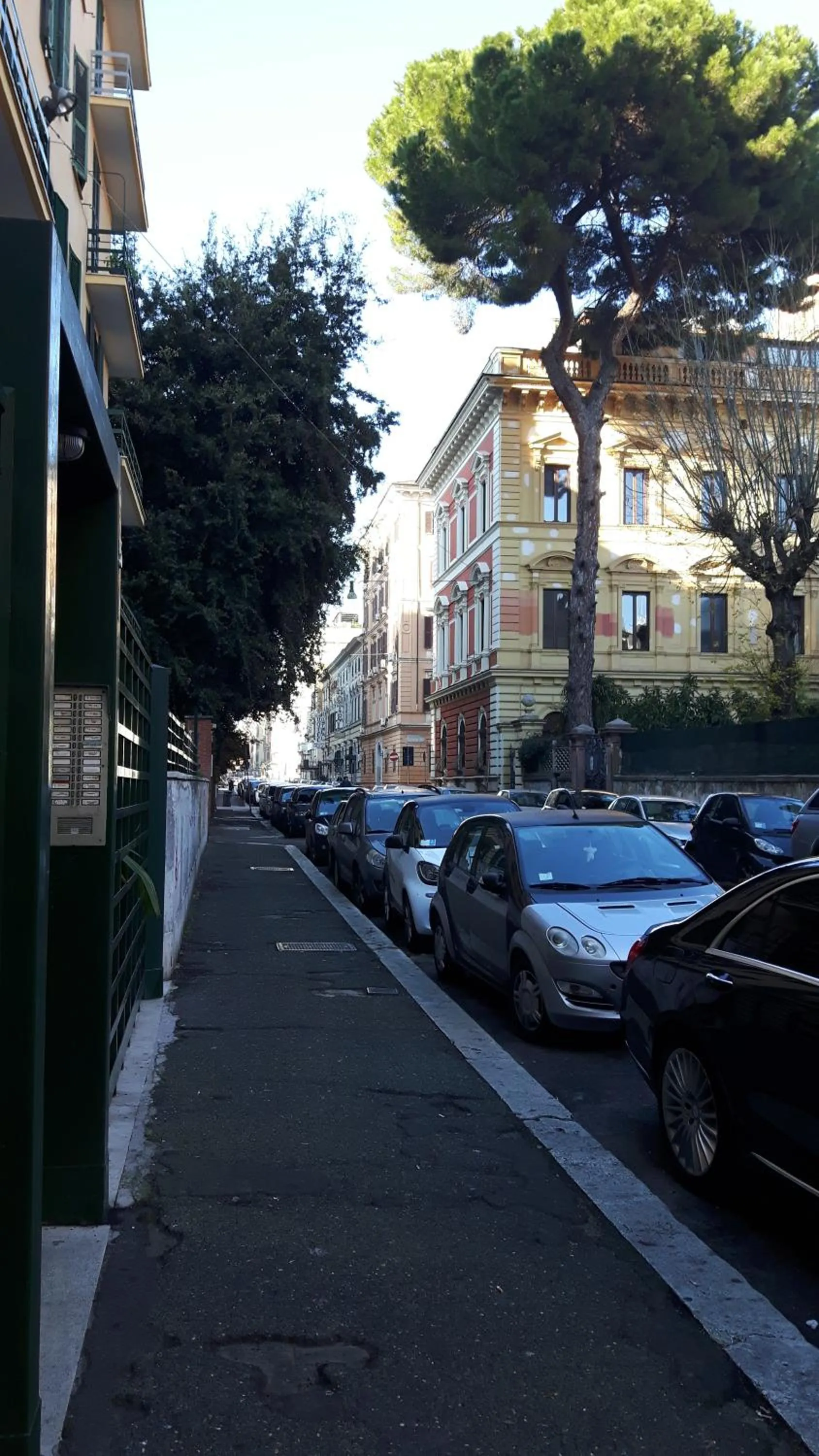 Property building in Palma