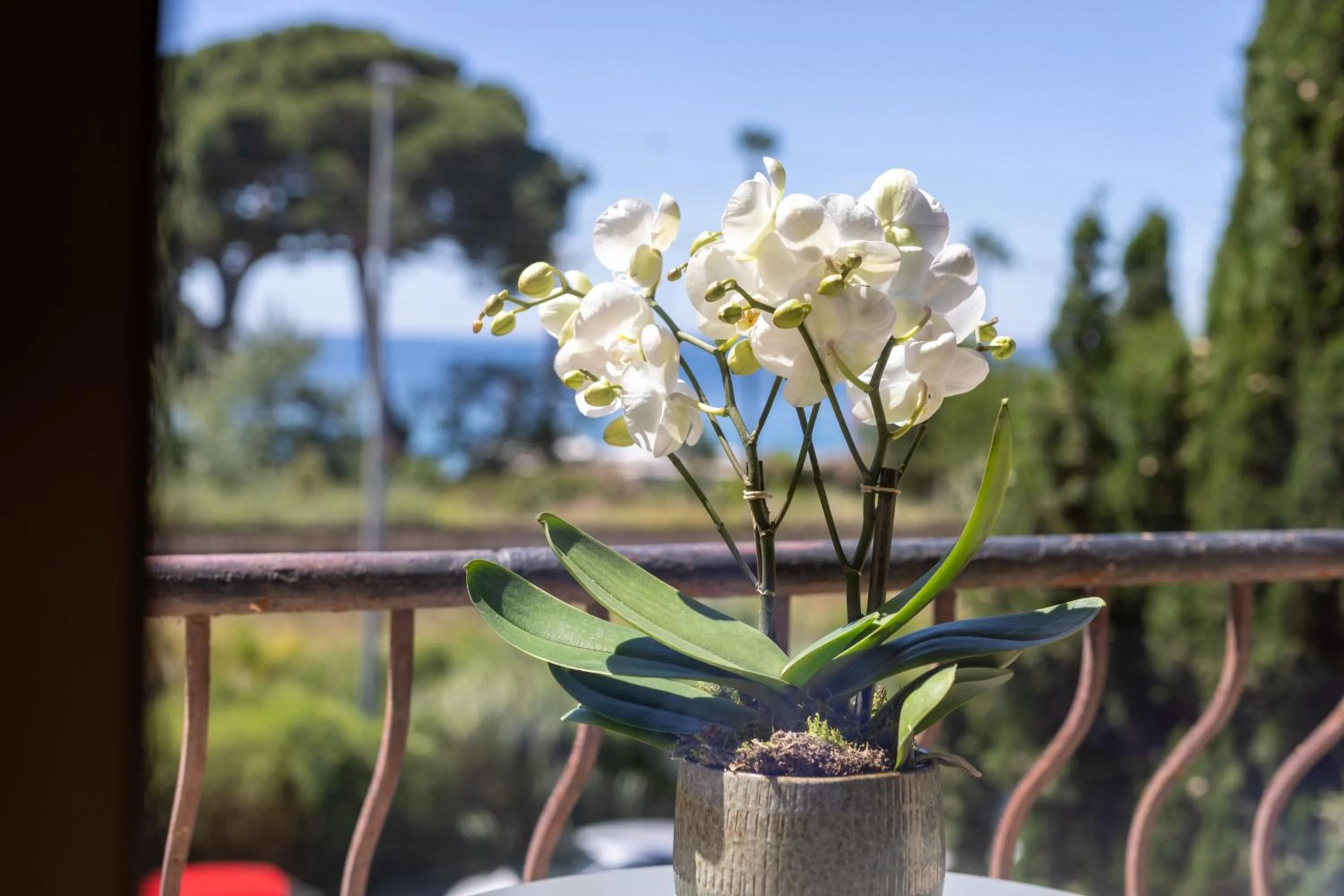 Sea view in Hôtel Lou Juan