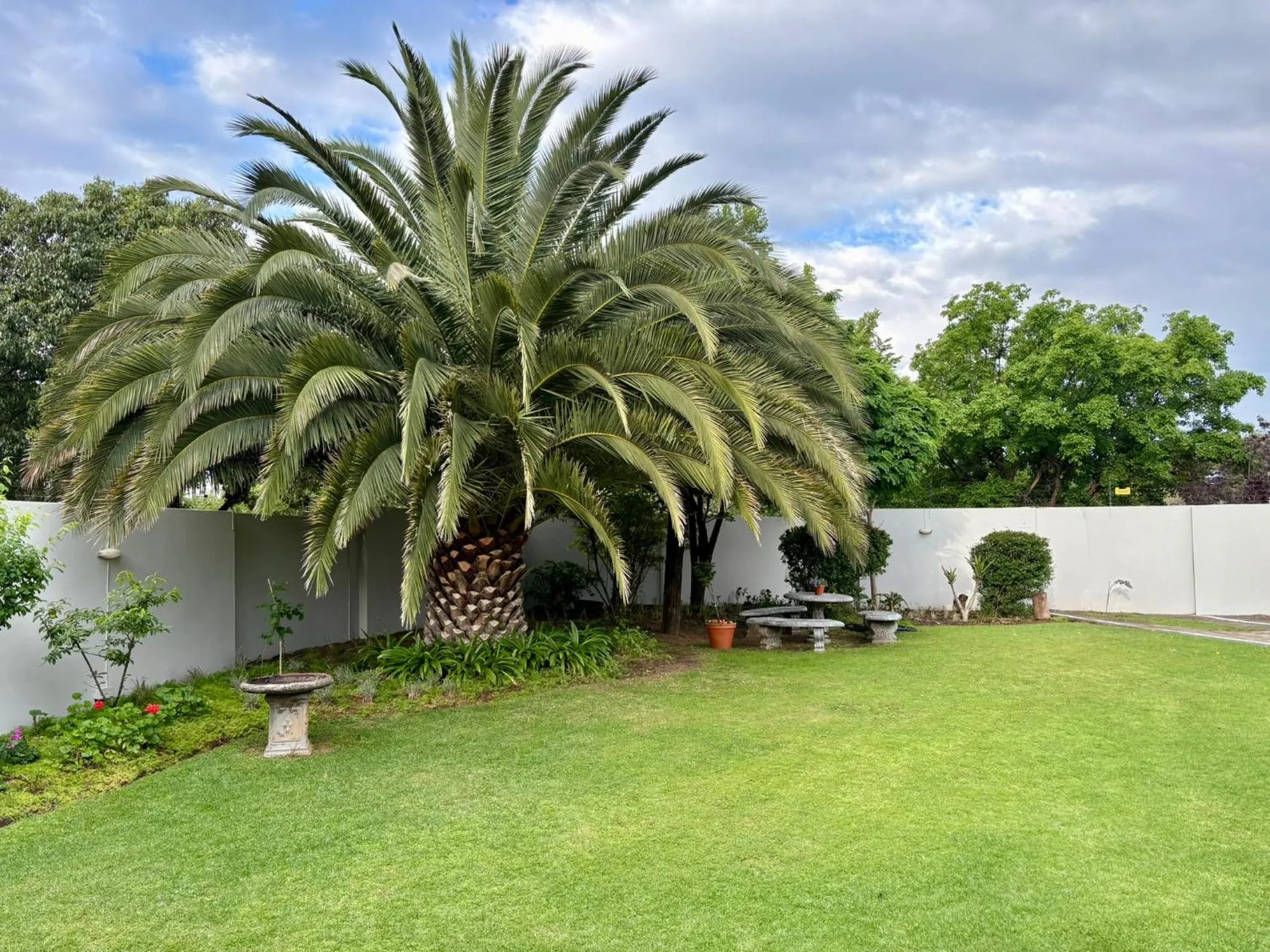 Garden in The Suburban Guest House