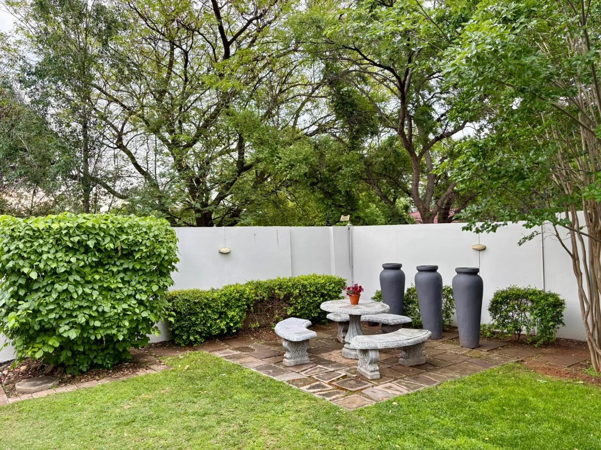 Garden view in The Suburban Guest House