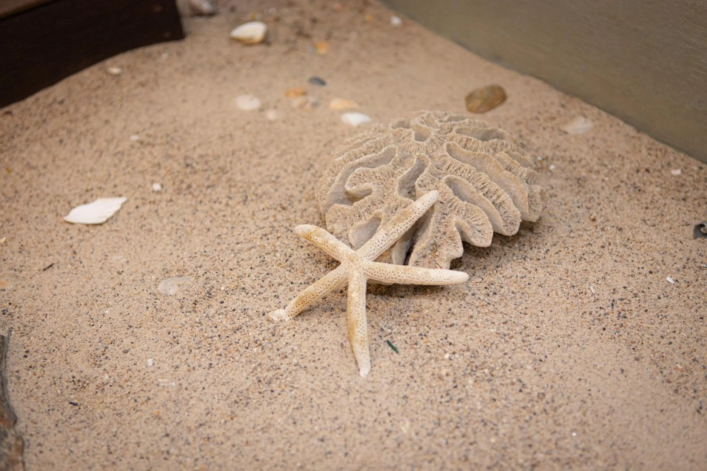 Hideaway Suites On 5th-Formally 5th East Hall