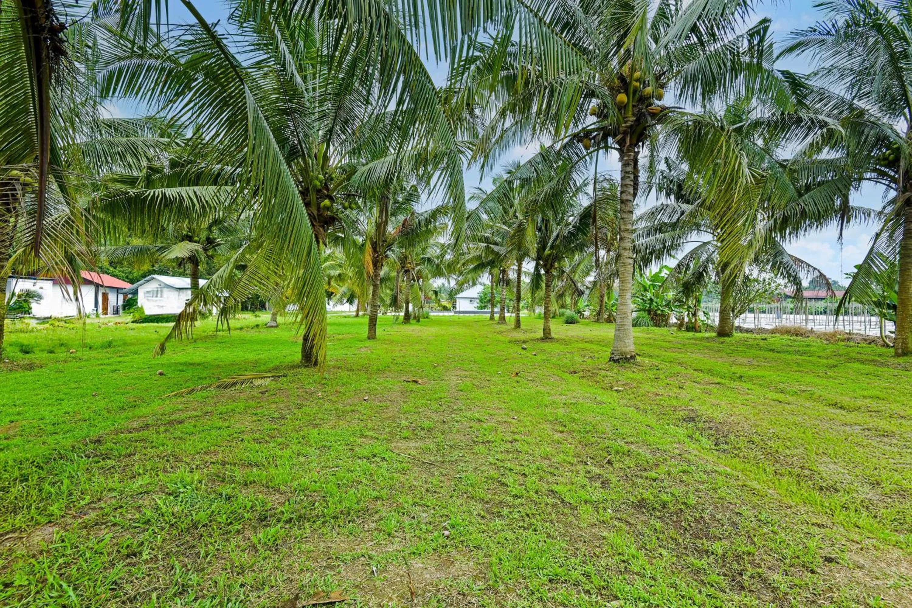 Other in Hotel O Asiacamp Chalet Tanjung Karang