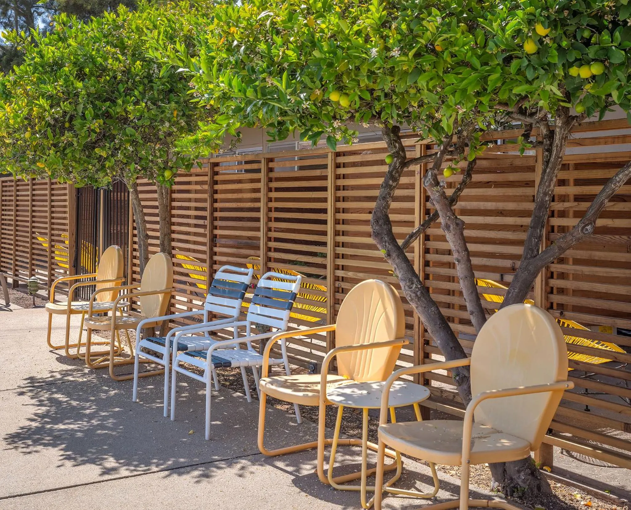 Natural landscape in Contenta Inn