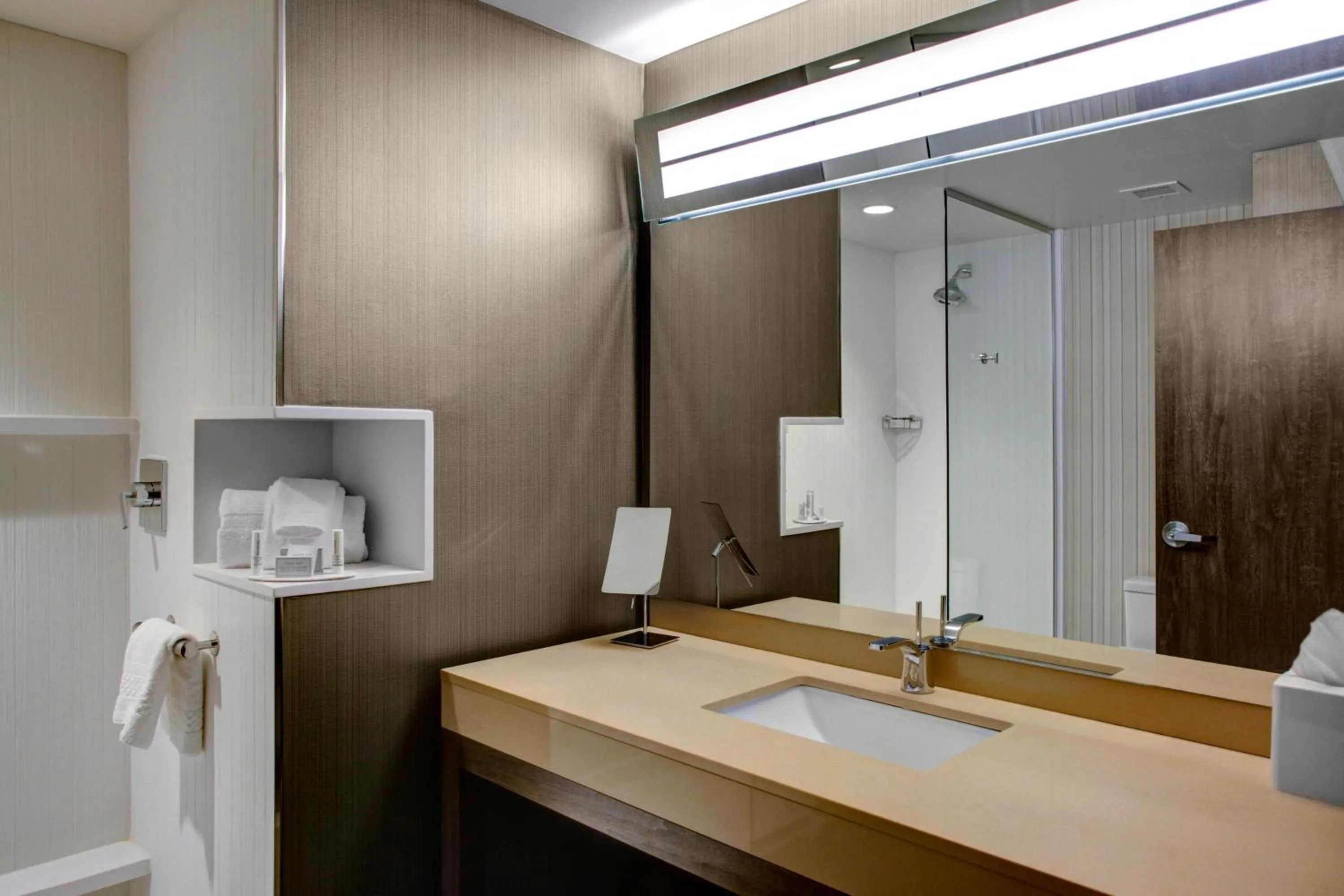 Bathroom in Courtyard by Marriott Carrollton