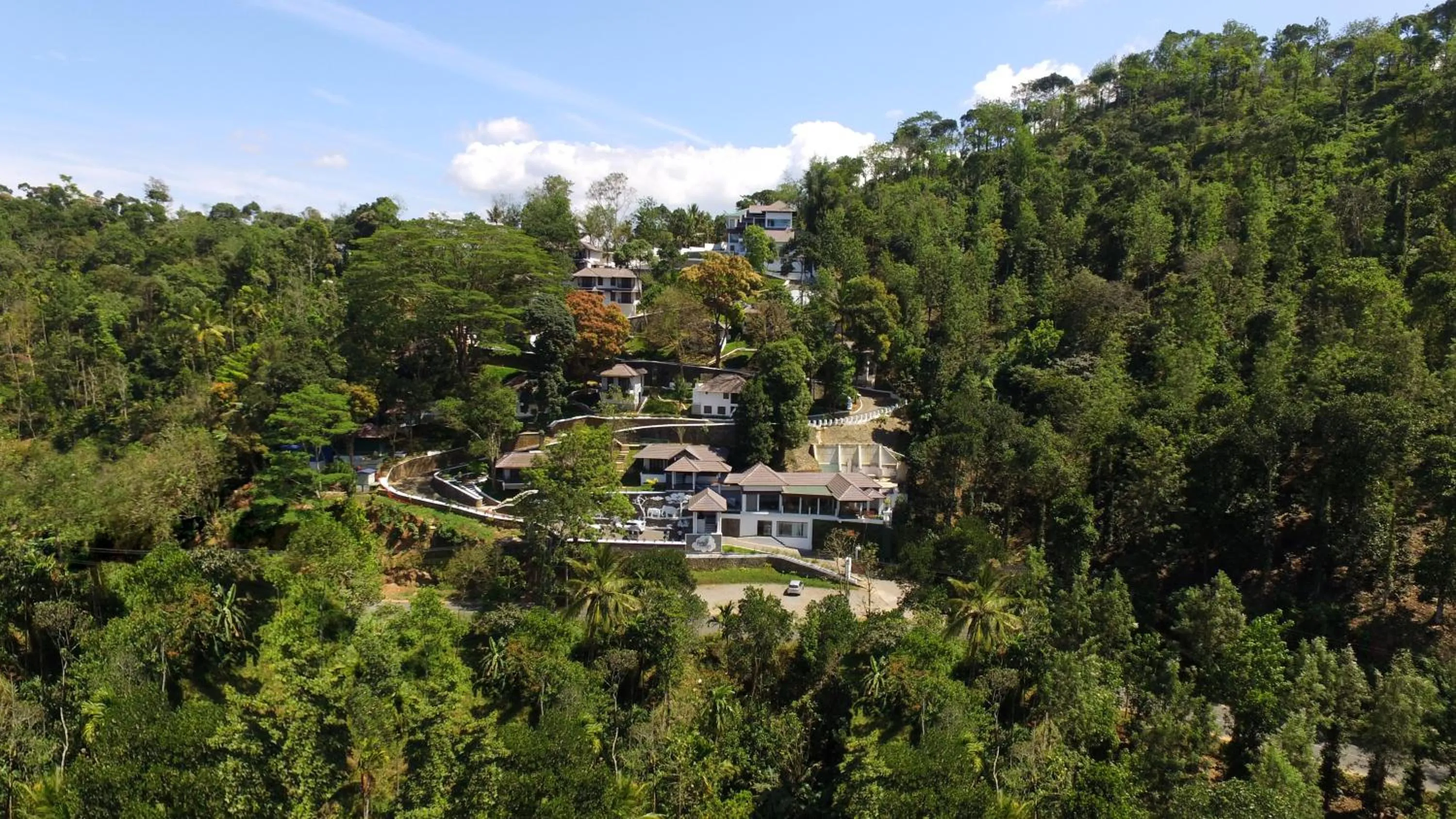 Bird's eye view in Forest Canopy Thekkady