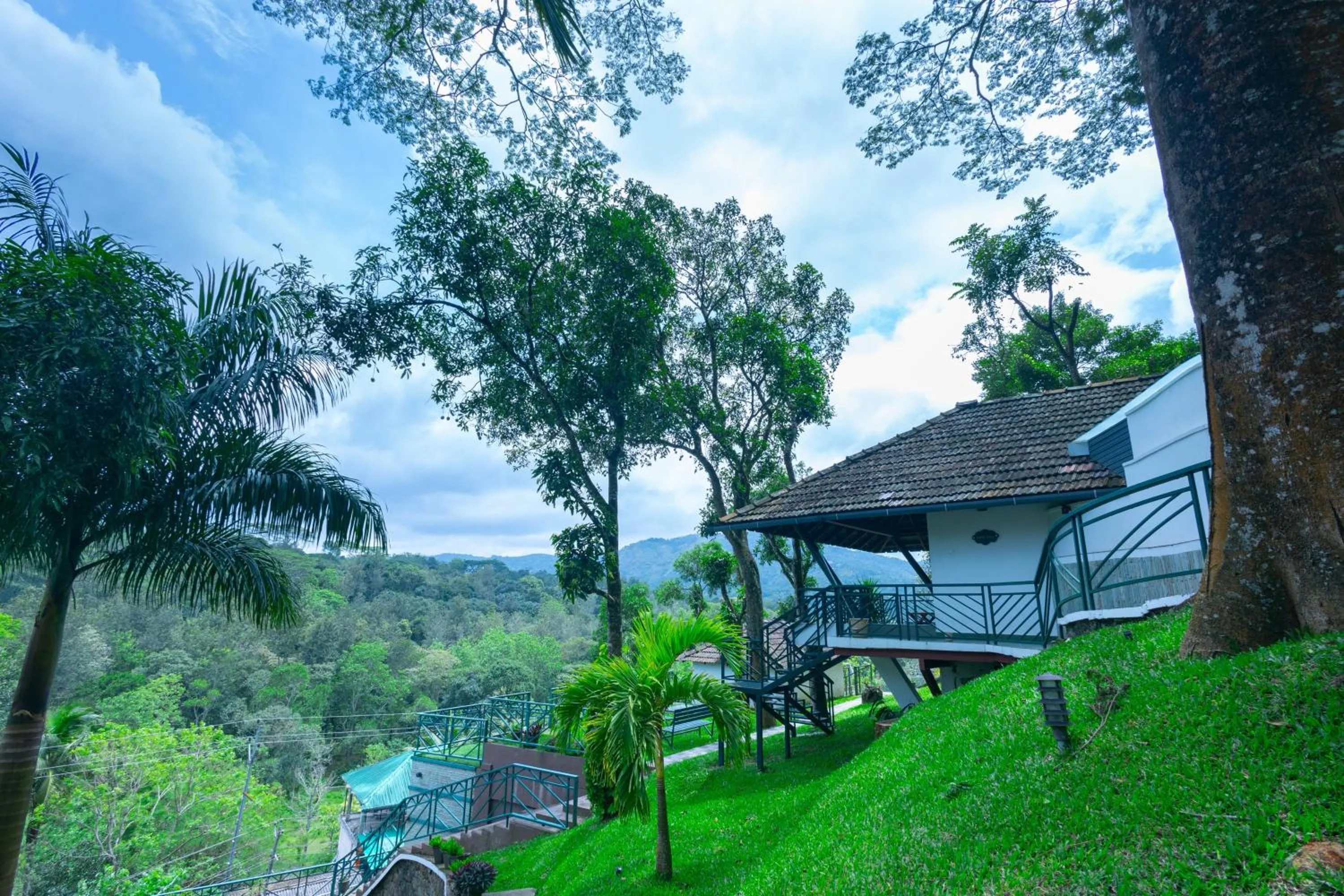 View (from property/room) in Forest Canopy Thekkady