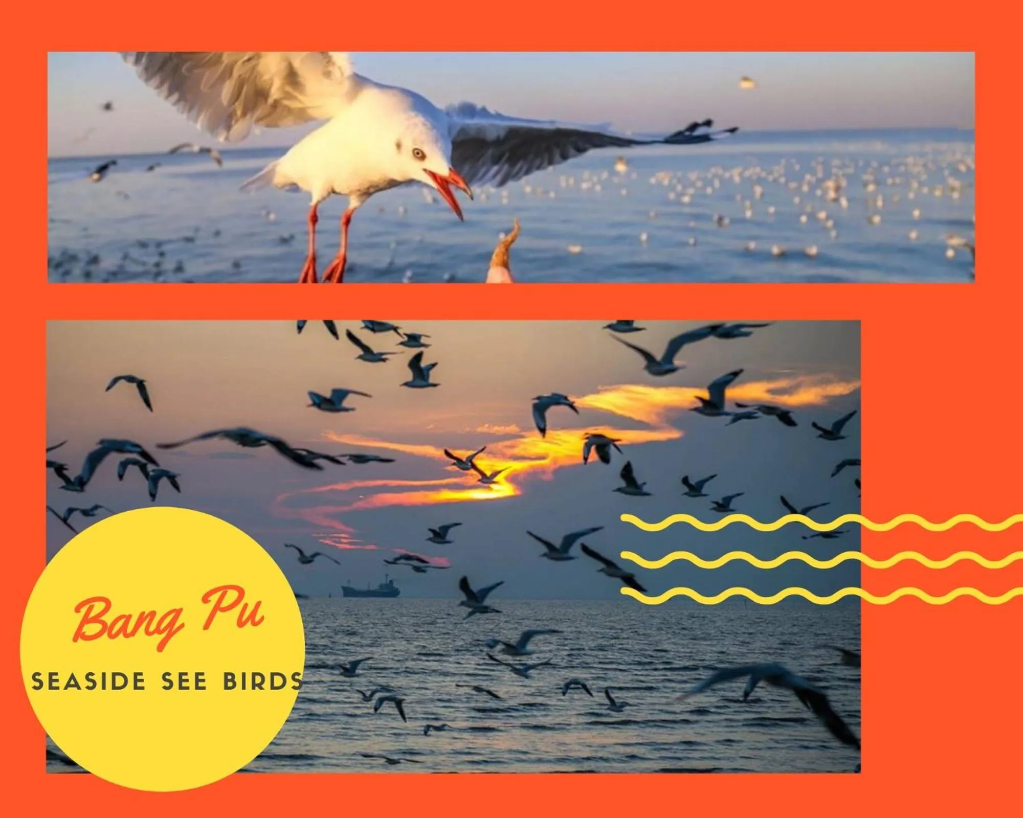 Thongtara House Boutique Srinakarin