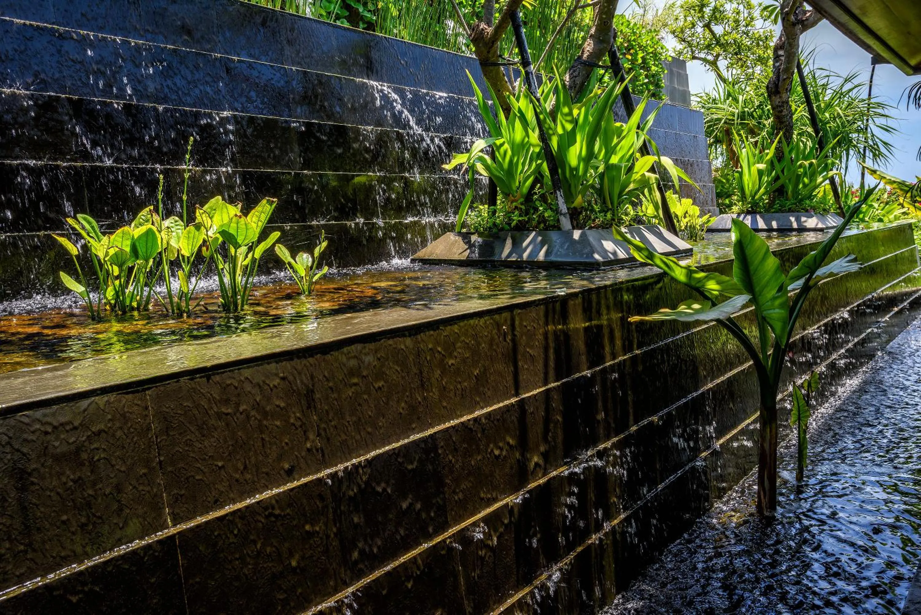 Garden in Private Villas of Bali