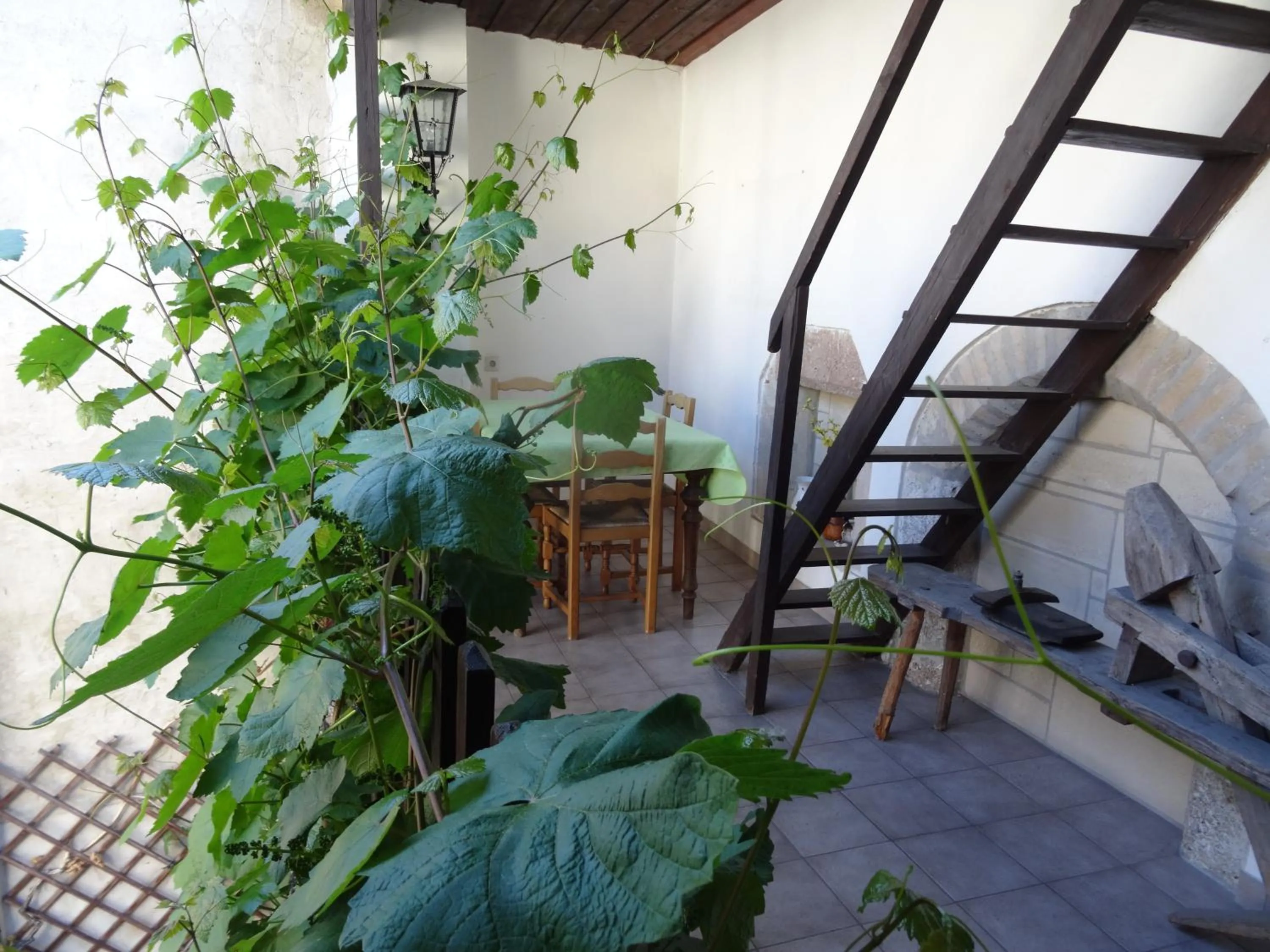 Garden in Gästehaus auf der Kunstmeile