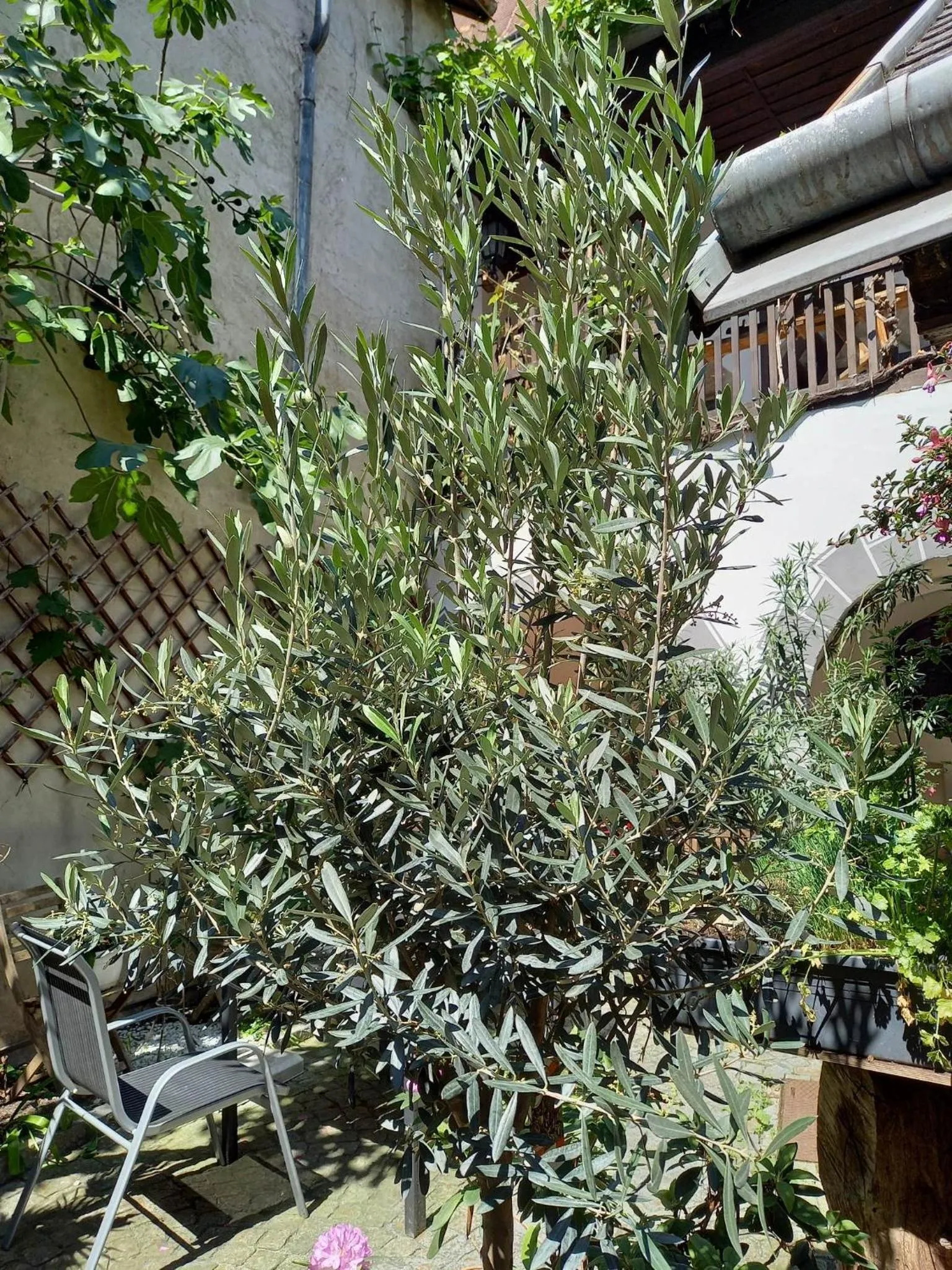 Gästehaus auf der Kunstmeile