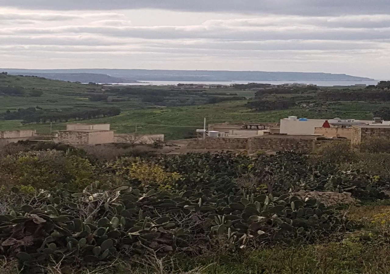 Balcony/Terrace in Ta' Karkar Villa Bed and Breakfast