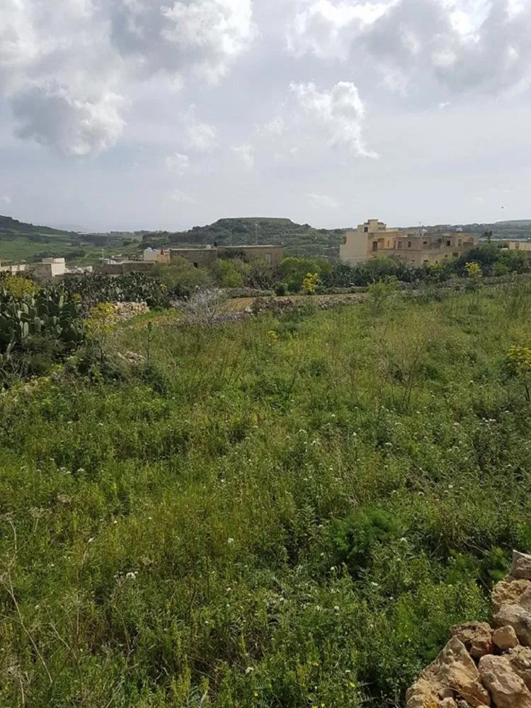 Neighbourhood in Ta' Karkar Villa Bed and Breakfast