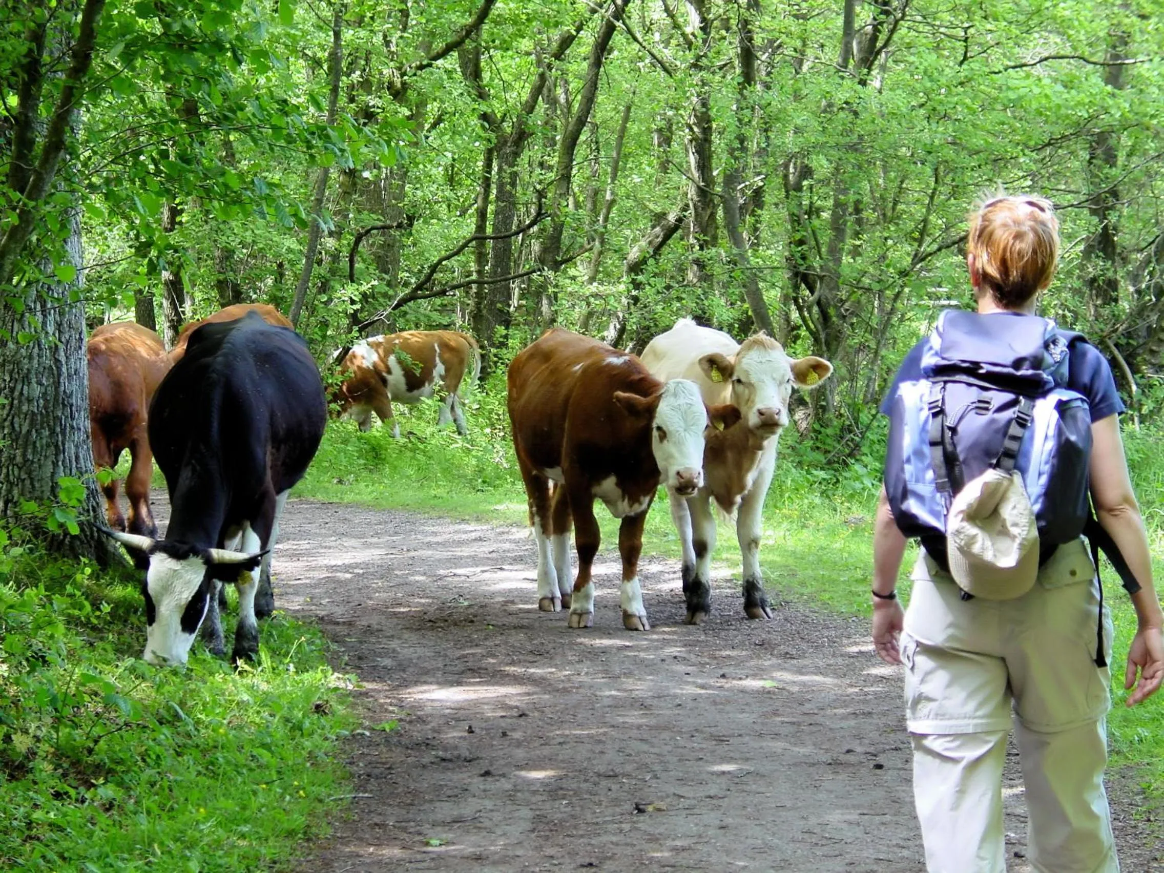 Hiking in Apartmaji Sitar