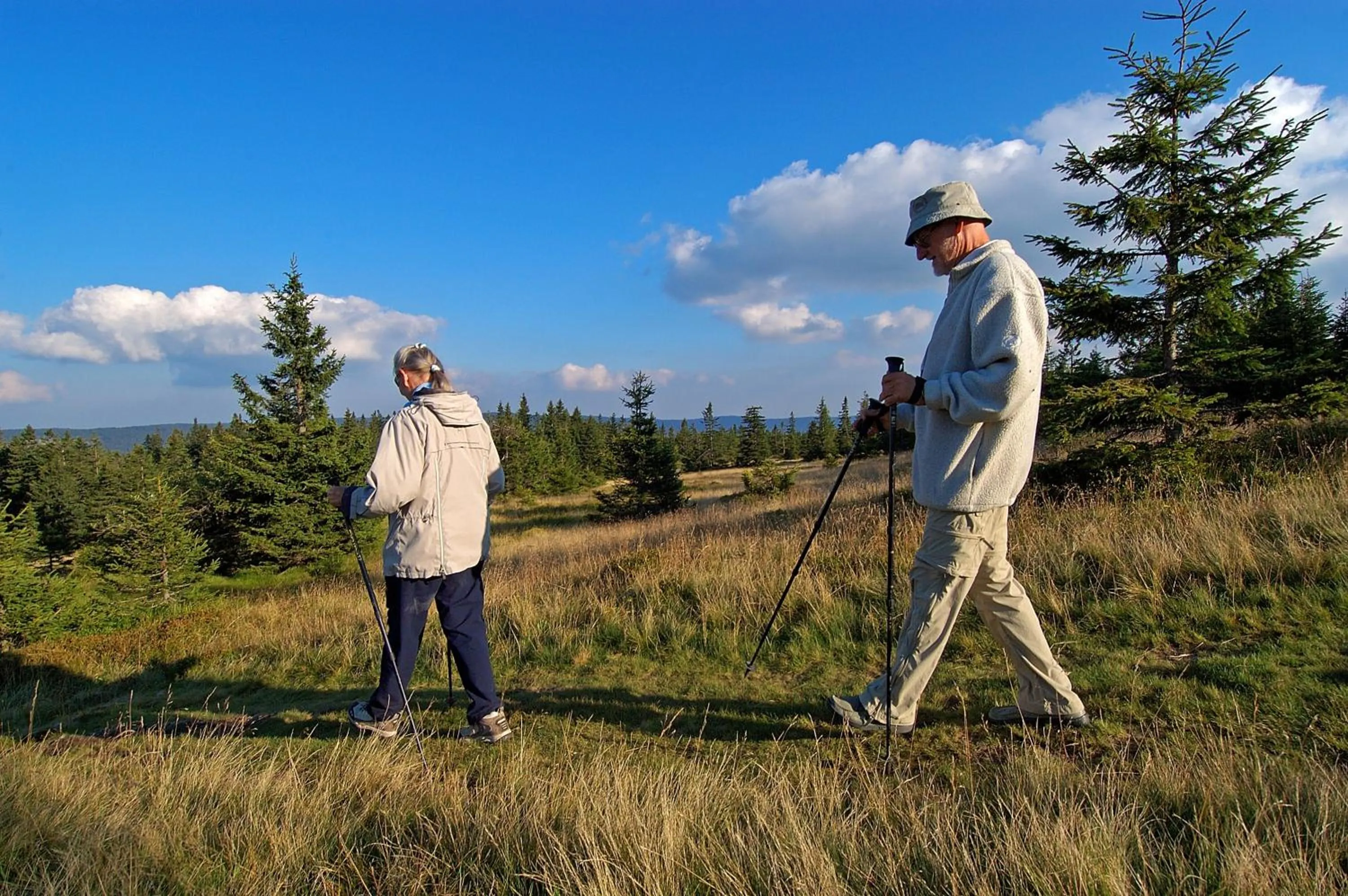 People in Apartmaji Sitar