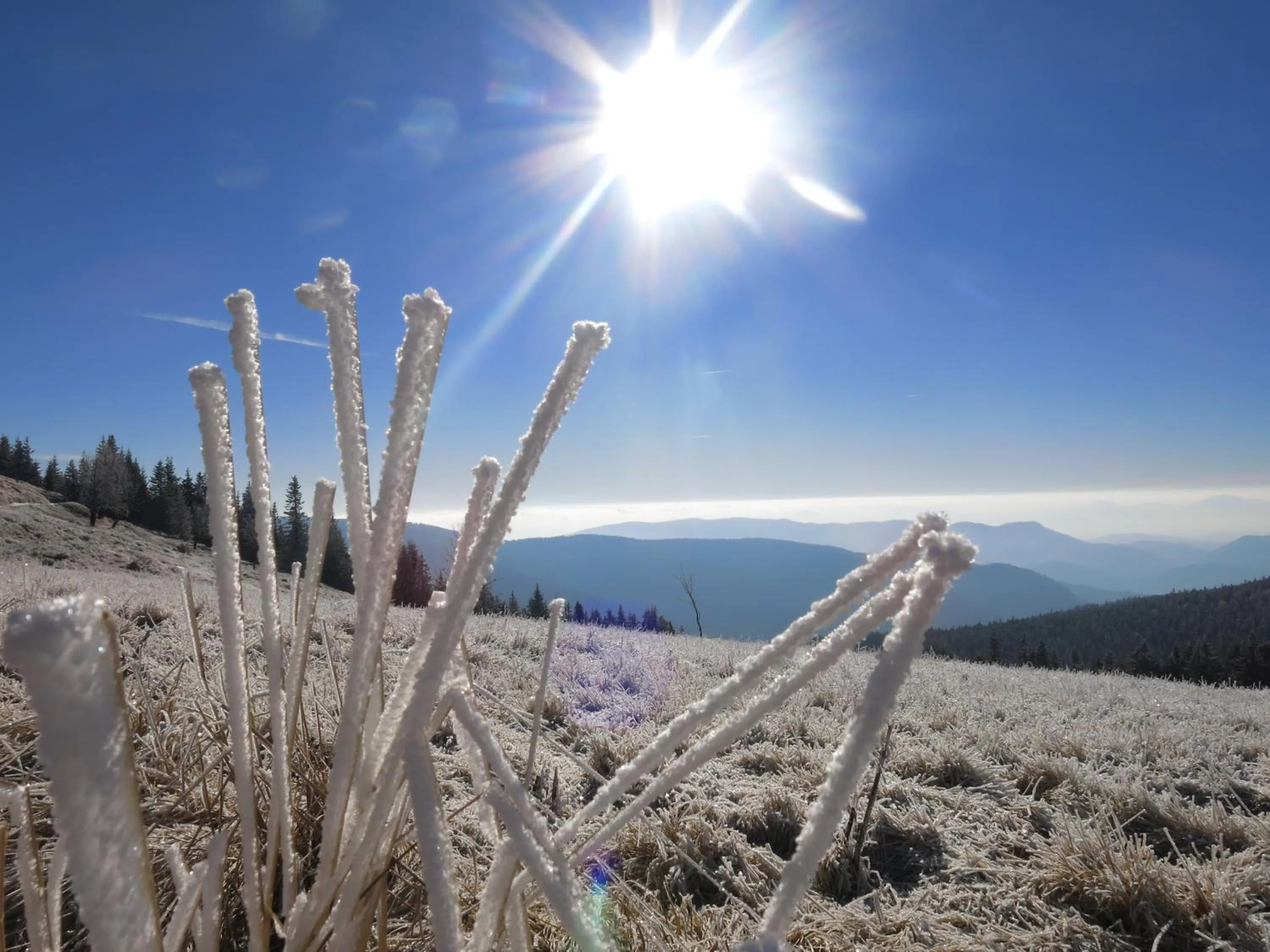 Day in Apartmaji Sitar