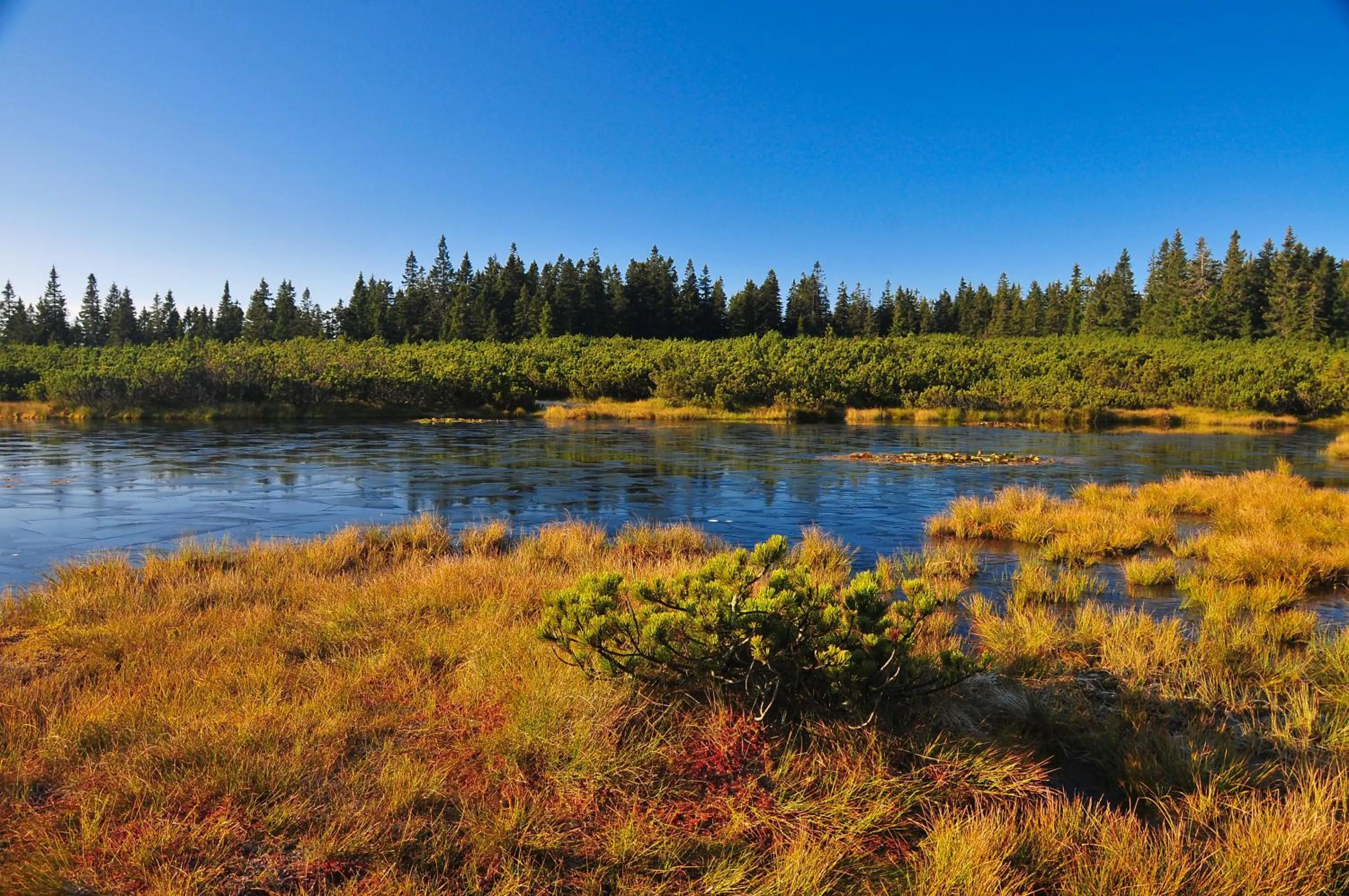 Day in Apartmaji Sitar