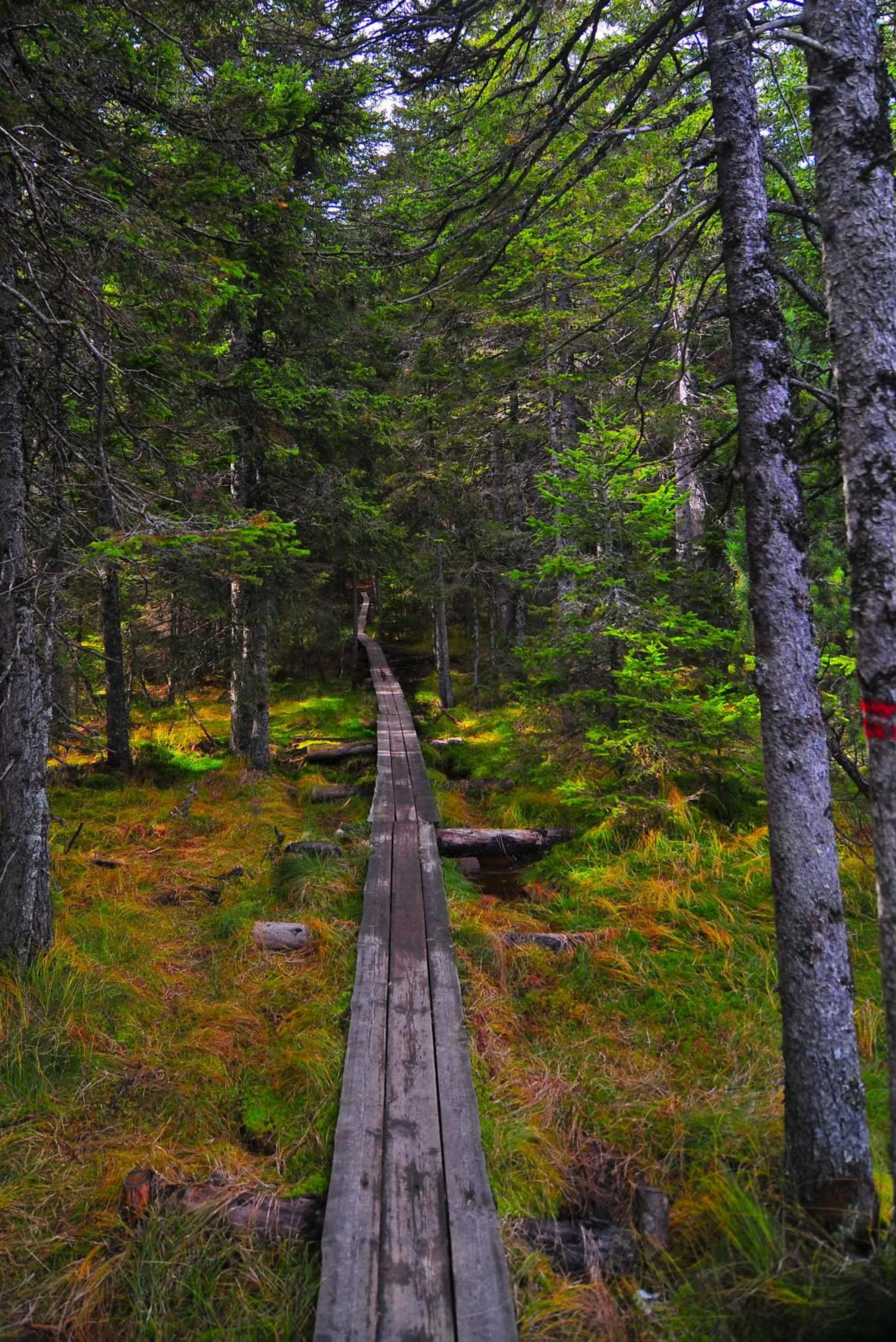 Off site in Apartmaji Sitar