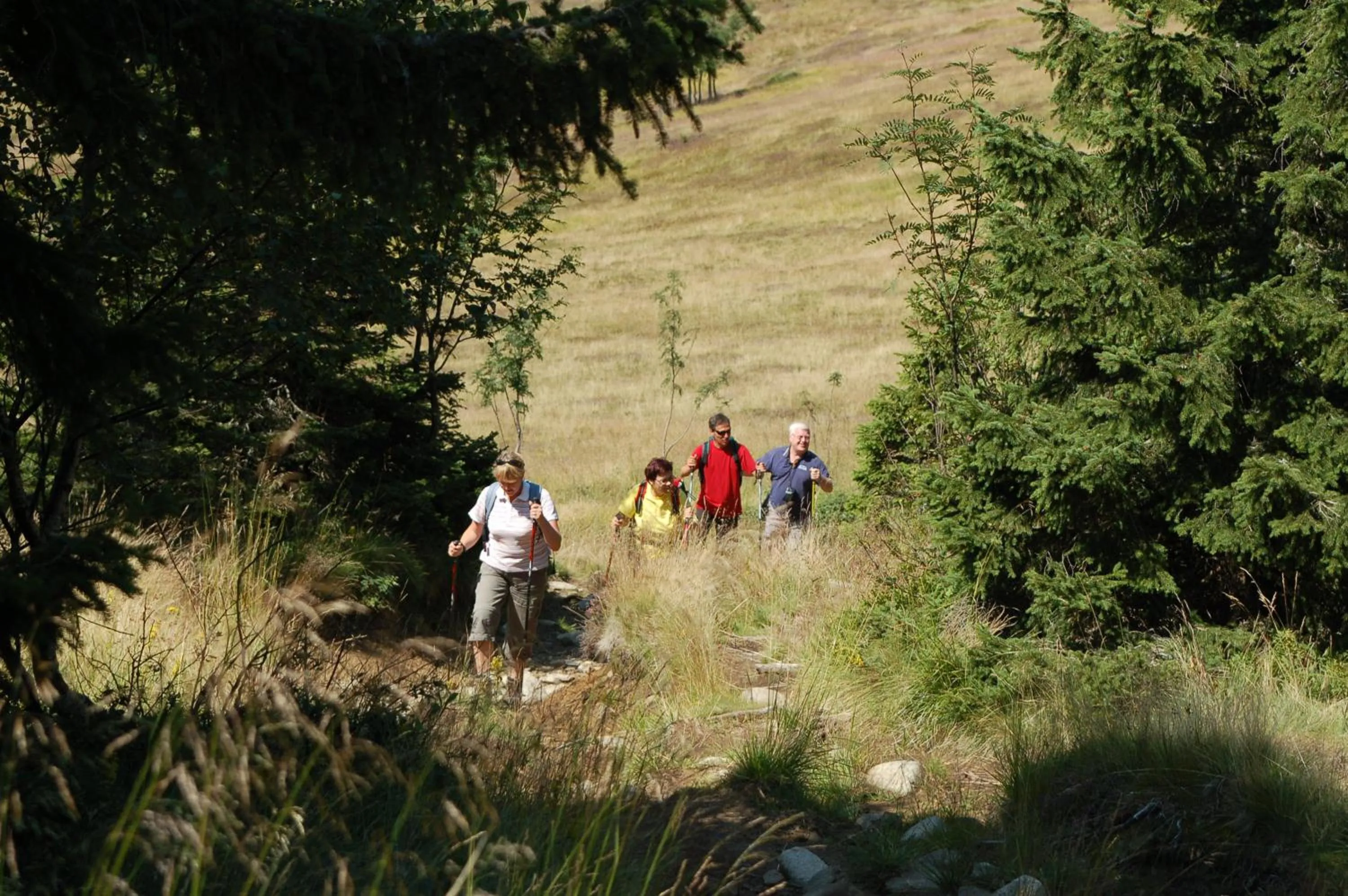 Natural landscape in Apartmaji Sitar
