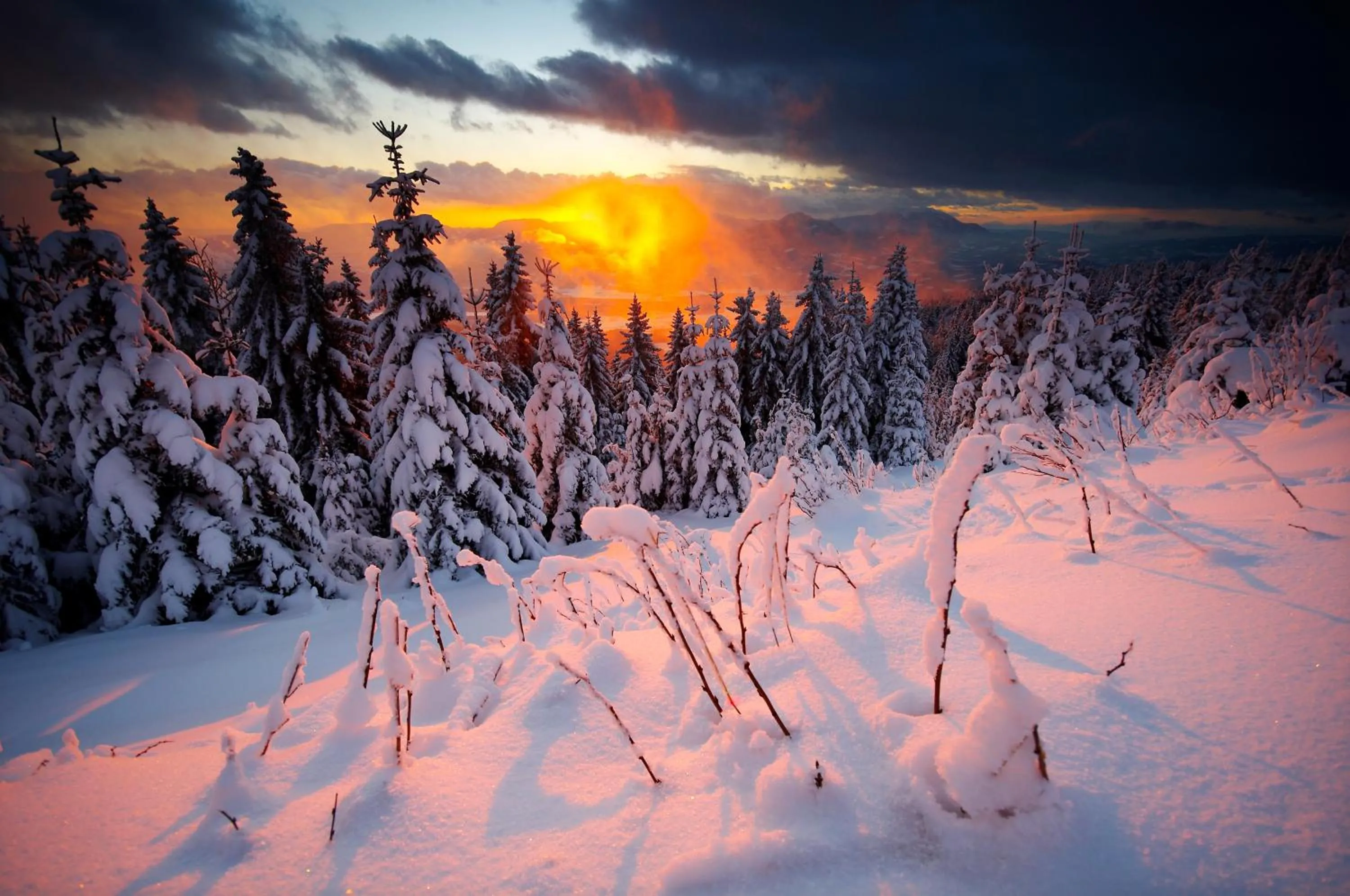 Natural landscape in Apartmaji Sitar