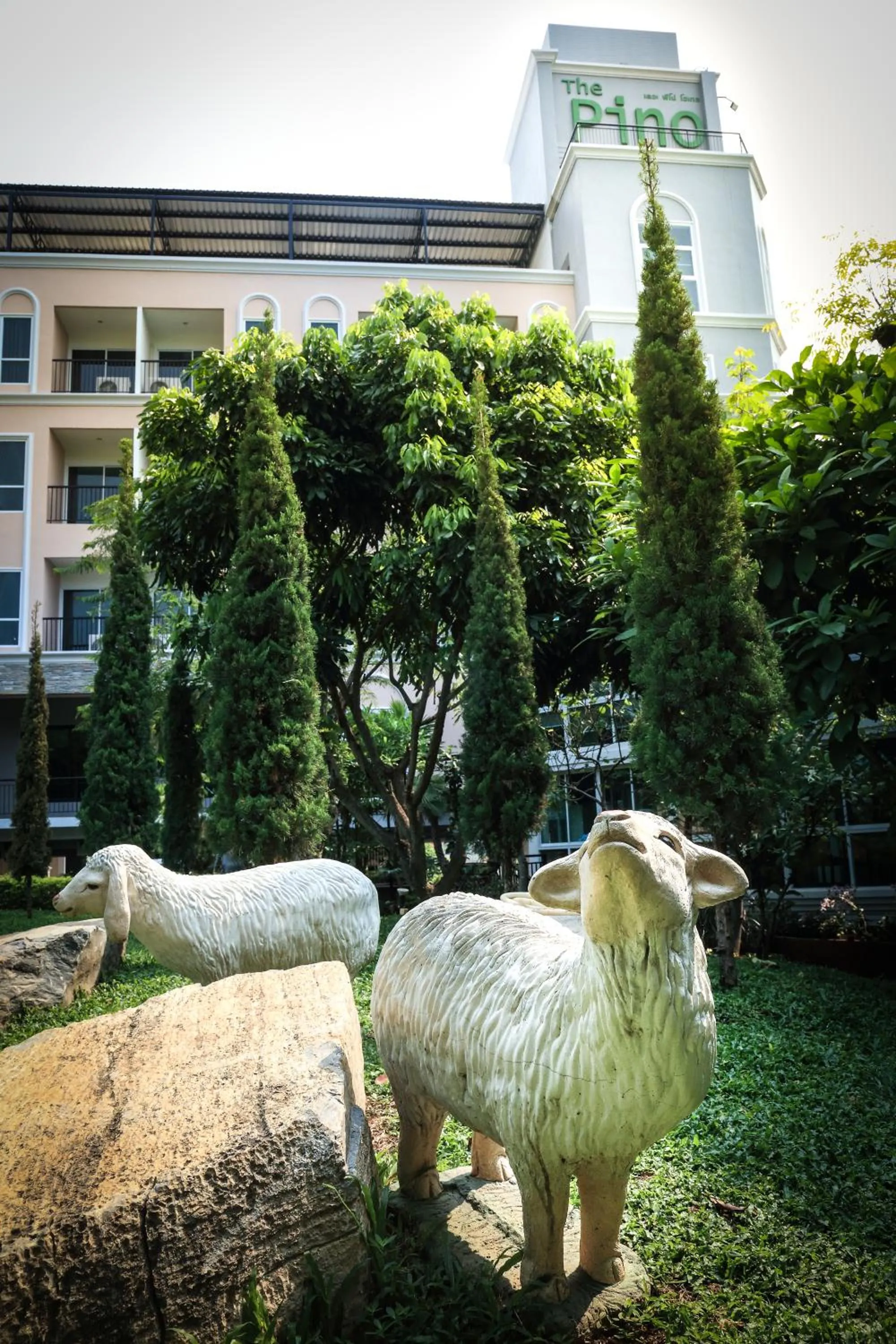 Garden in The Pino Hotel Pakchong