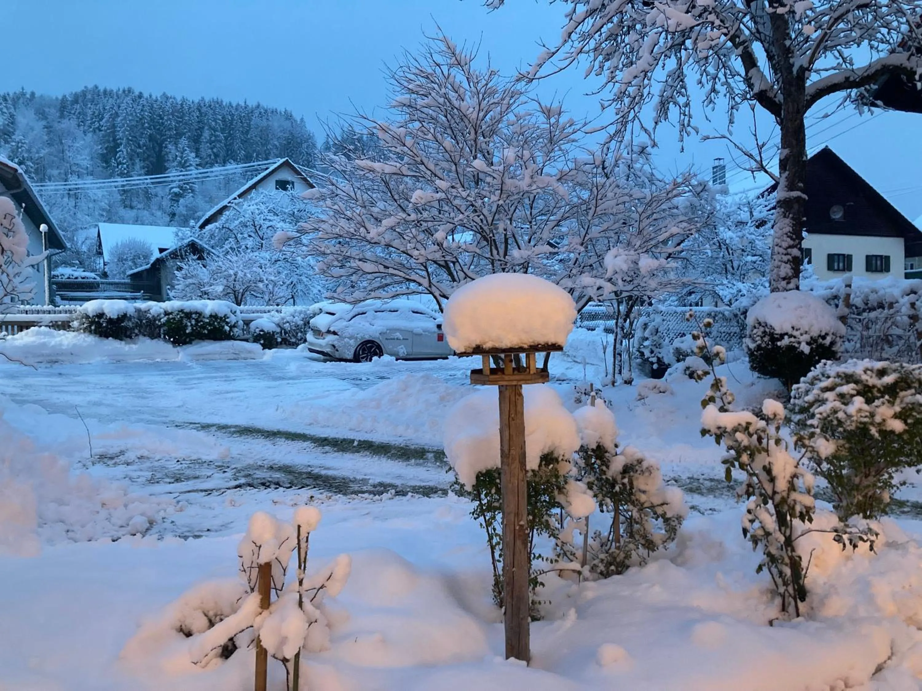 Winter in Alpenhotel Pfaffenwinkel