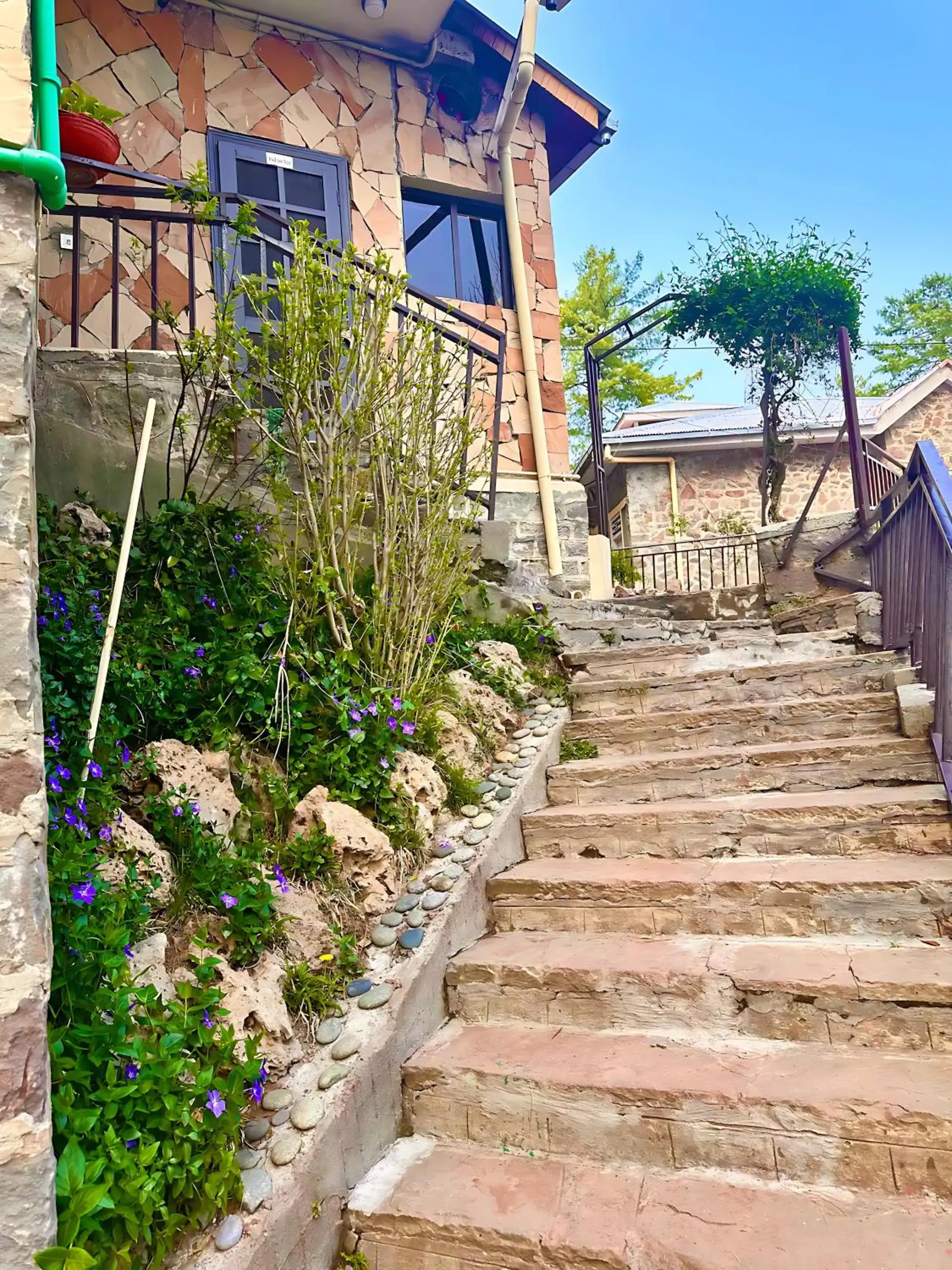 Property building in Pasha Nova