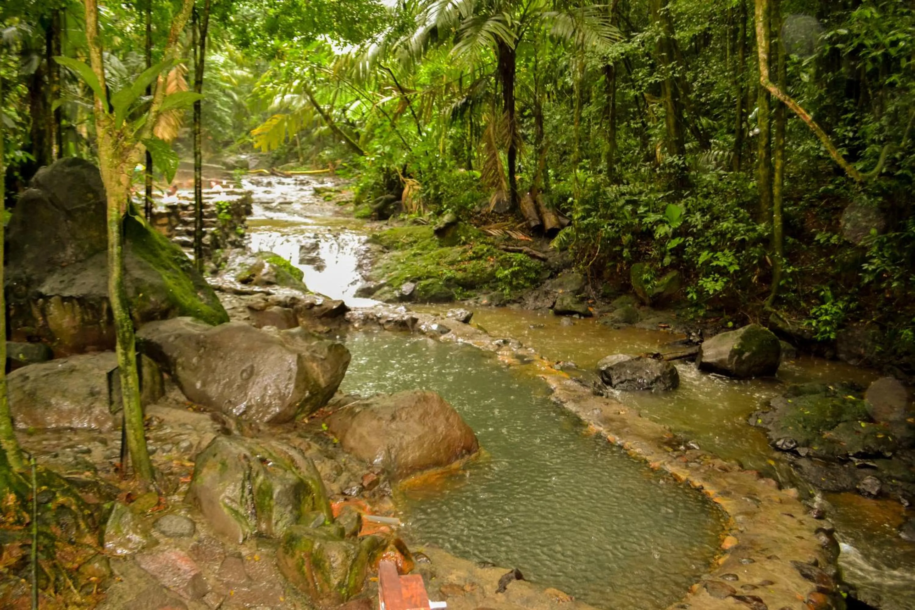 Other in Termales del Bosque & Hot Springs