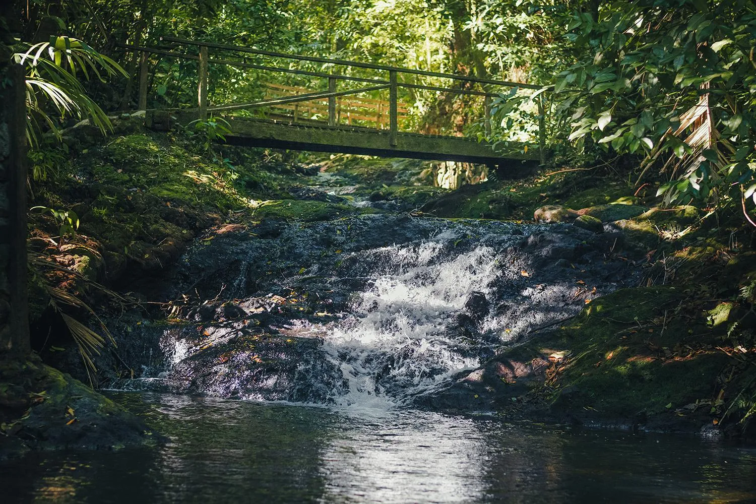 River view in Termales del Bosque & Hot Springs