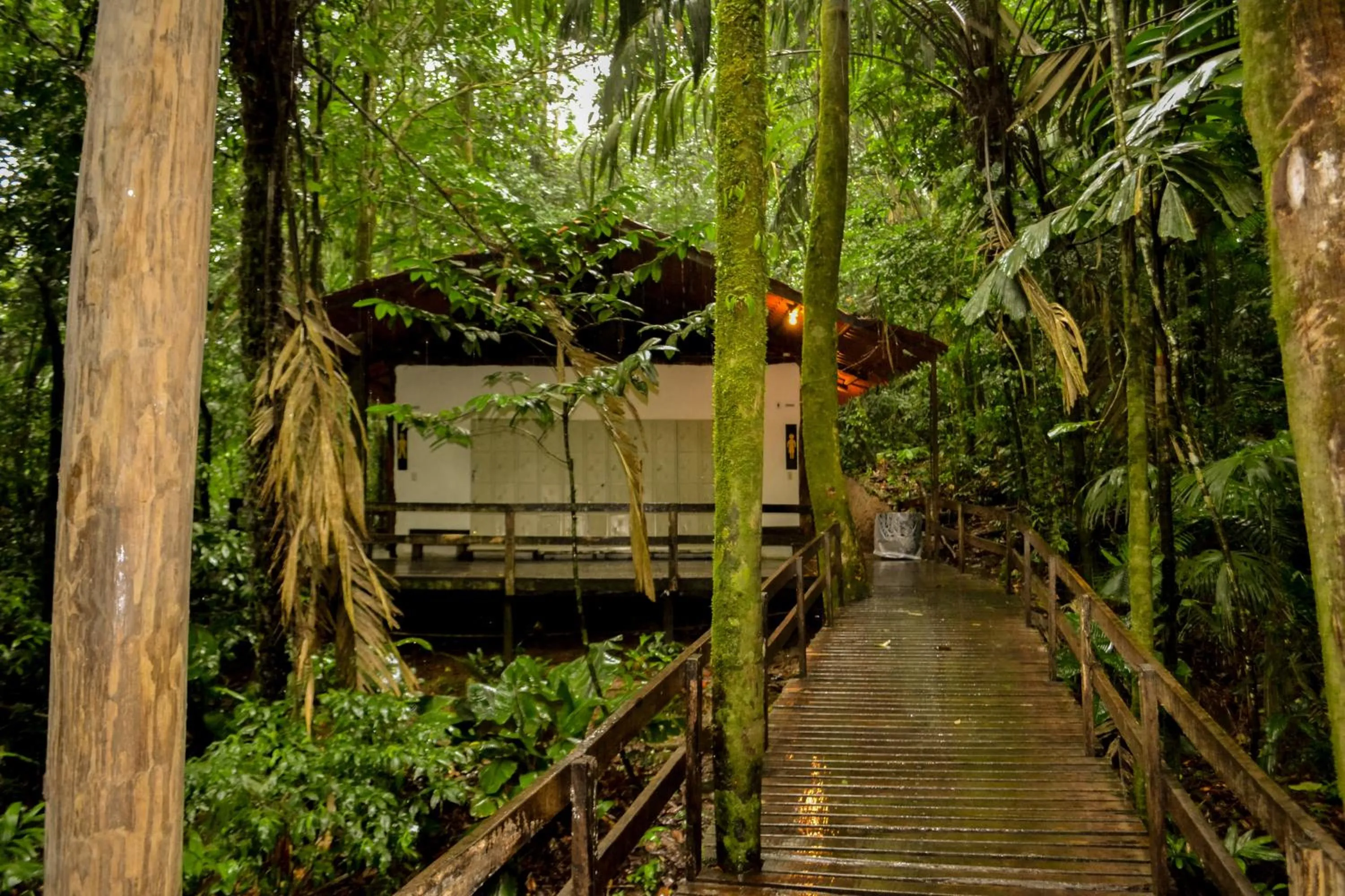 Area and facilities in Termales del Bosque & Hot Springs