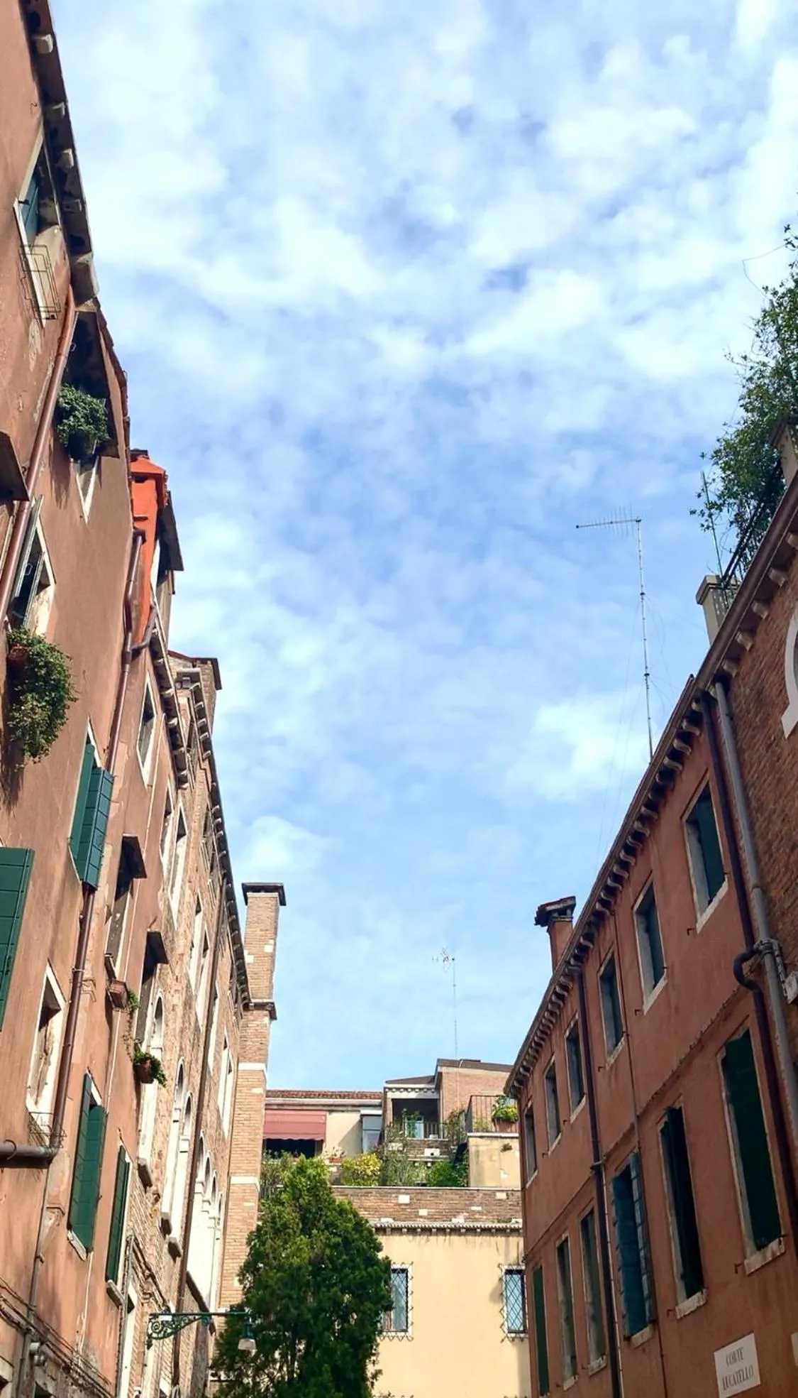 Bird's eye view in B&B Fortuny