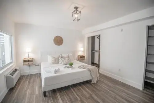 Agave on the Beach Agave on the Beach