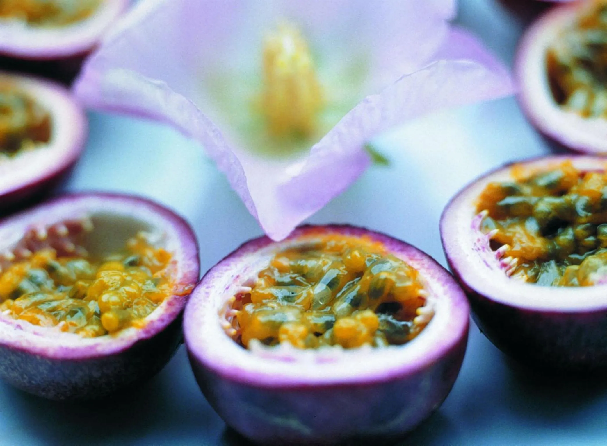 Food close-up in Cheng Pao Hotel