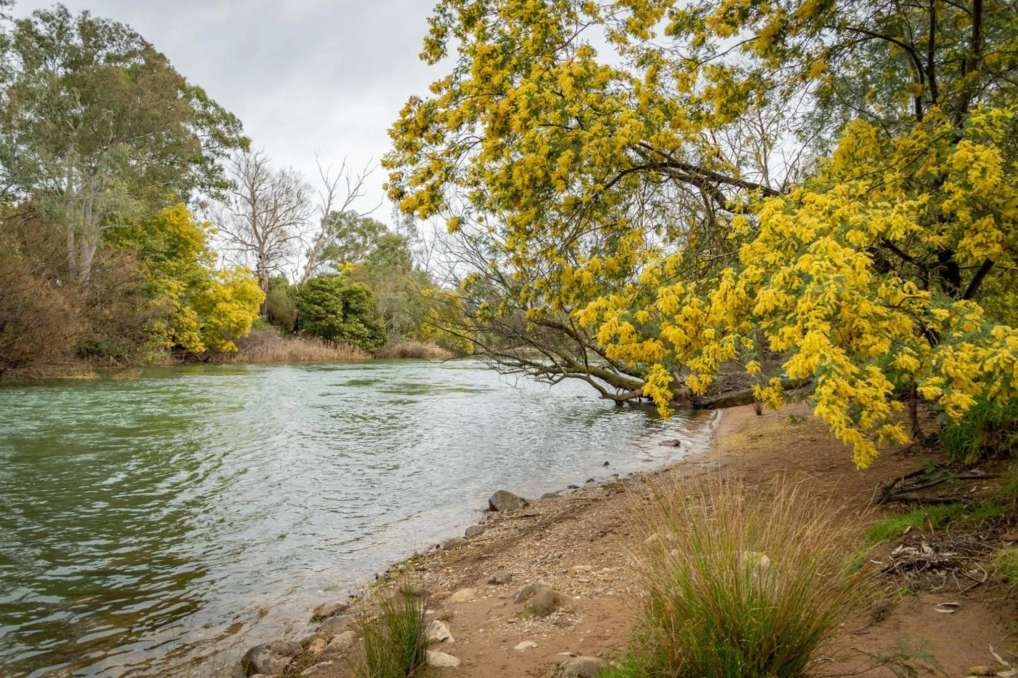River view in BIG4 Breeze Holiday Parks - Eildon