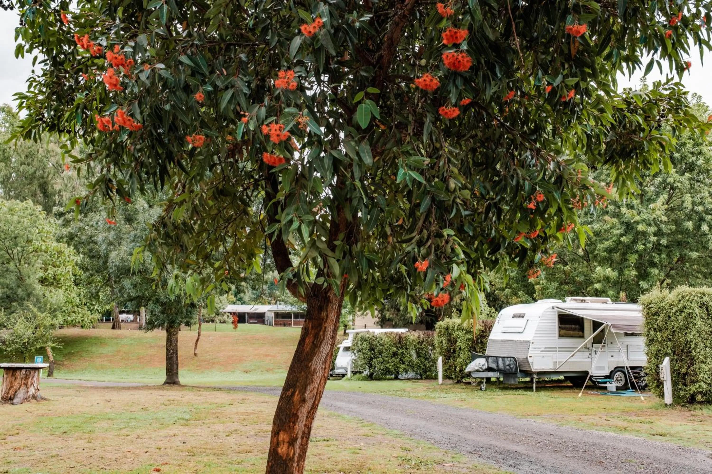 Natural landscape in BIG4 Breeze Holiday Parks - Eildon