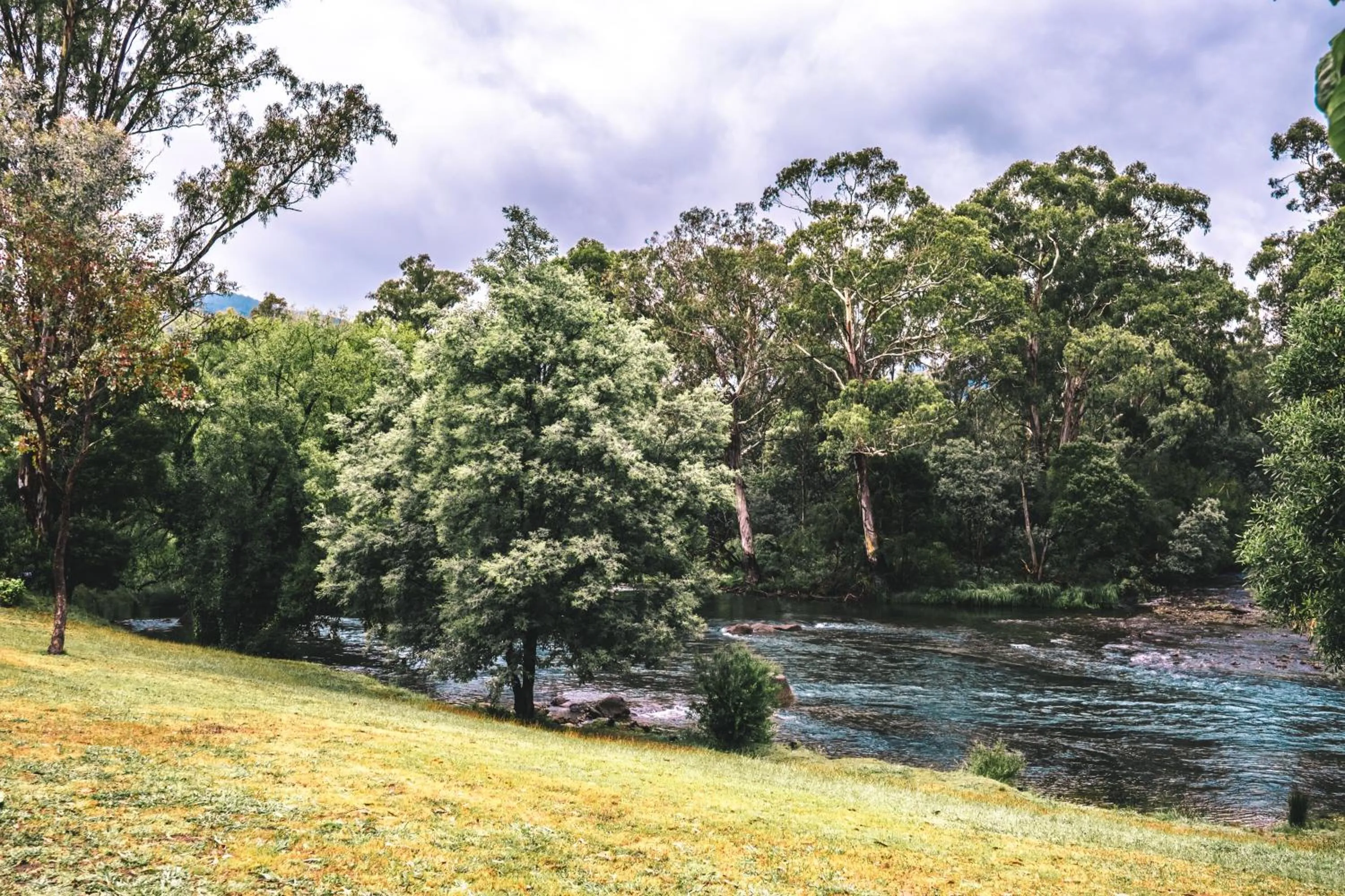 BIG4 Breeze Holiday Parks - Eildon