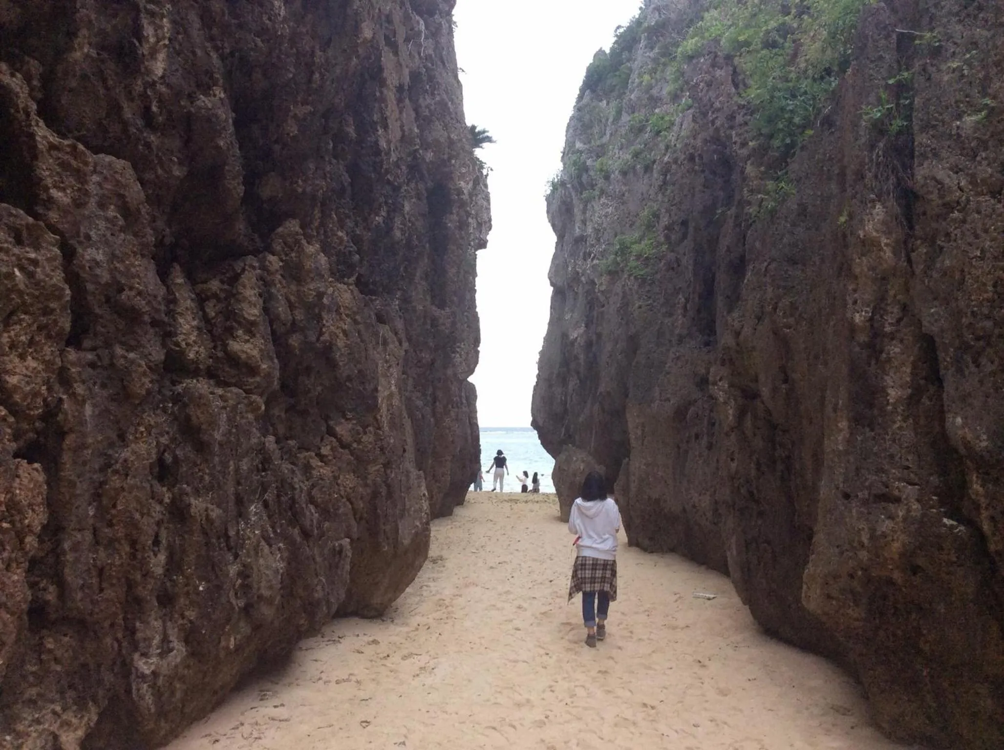 Day in Sunset Hill Bise