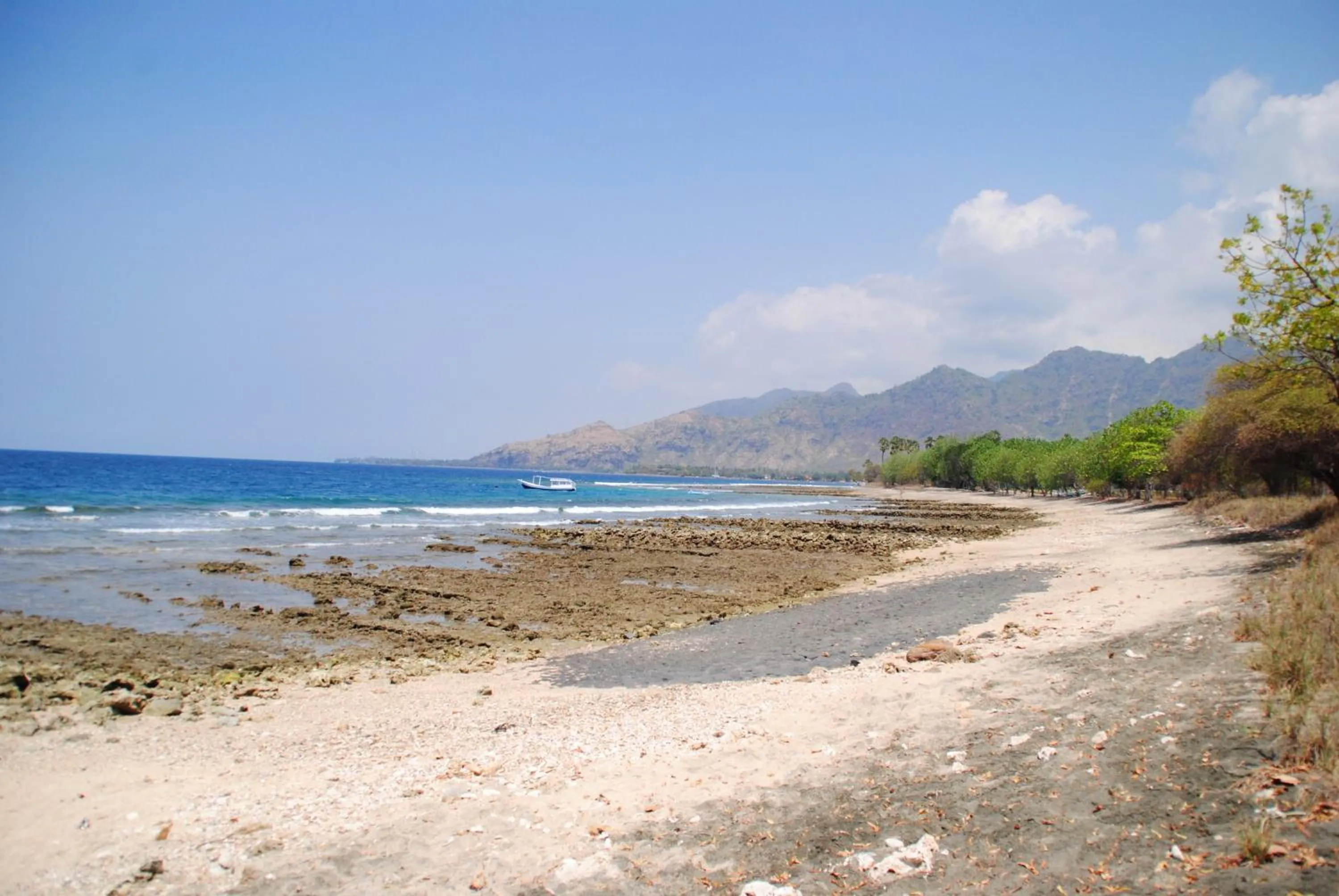 Neighbourhood in Tiara Homestay Pemuteran Bali