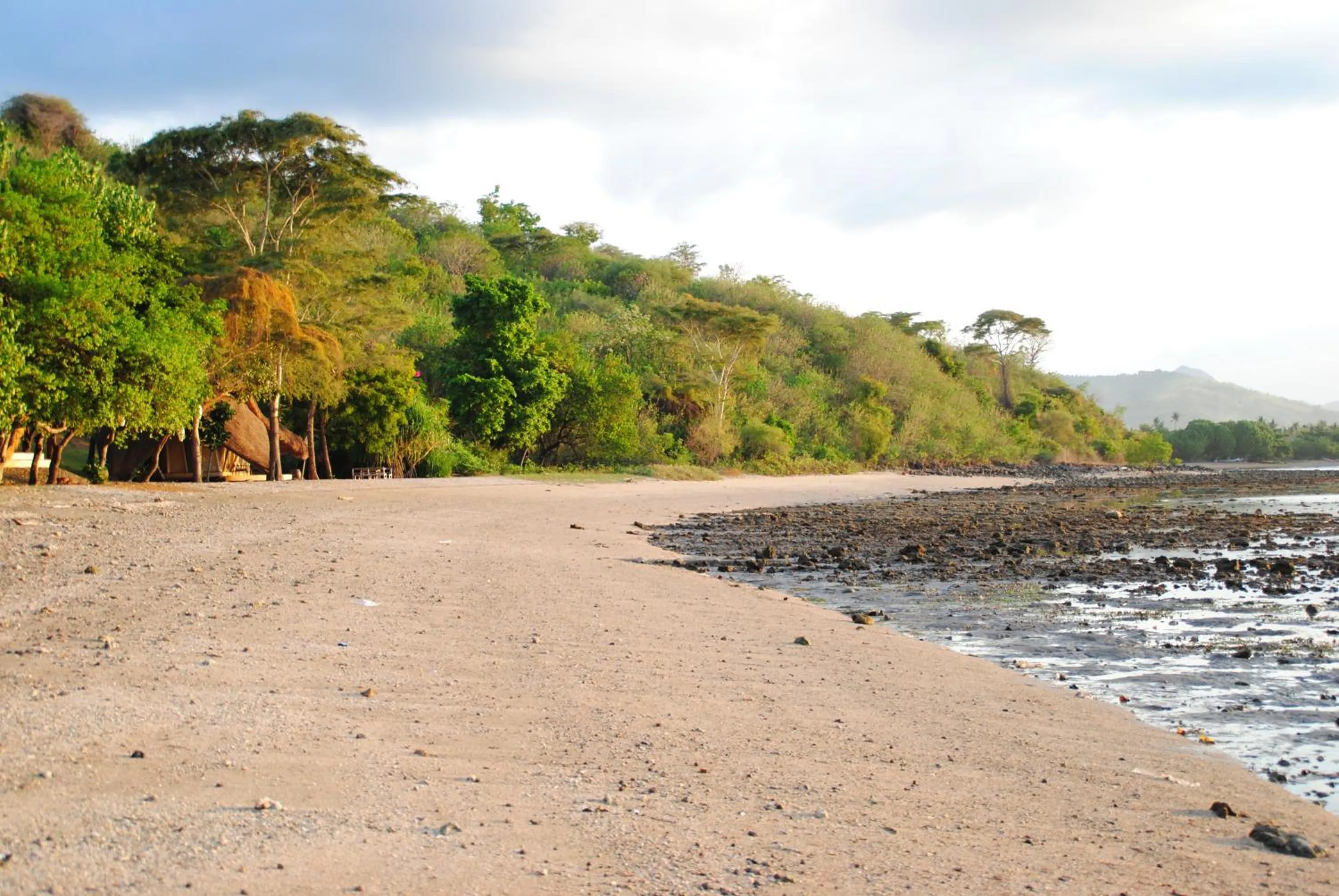 Neighbourhood in Tiara Homestay Pemuteran Bali