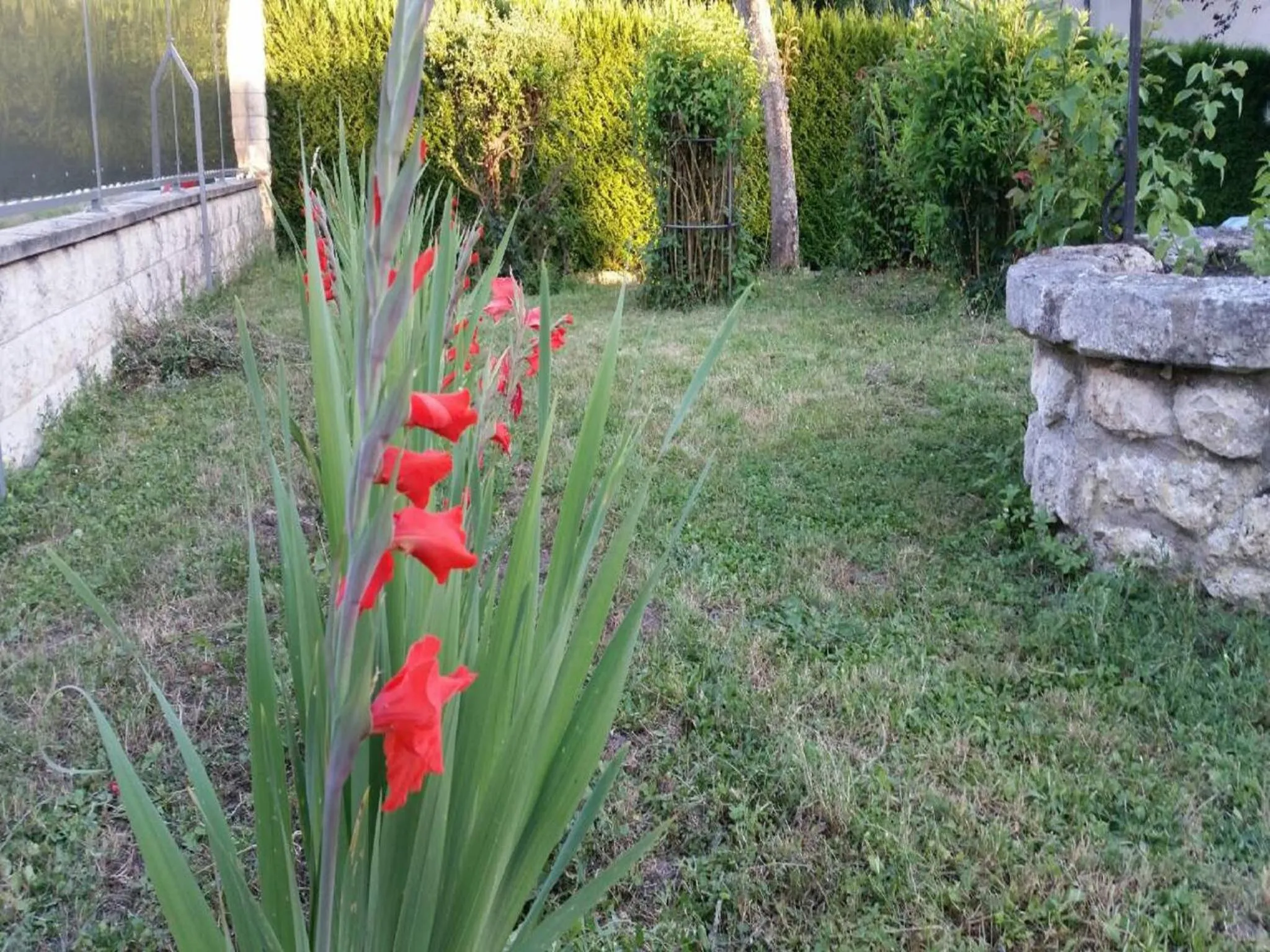 Garden in Chambres D'hôtes du Plessis