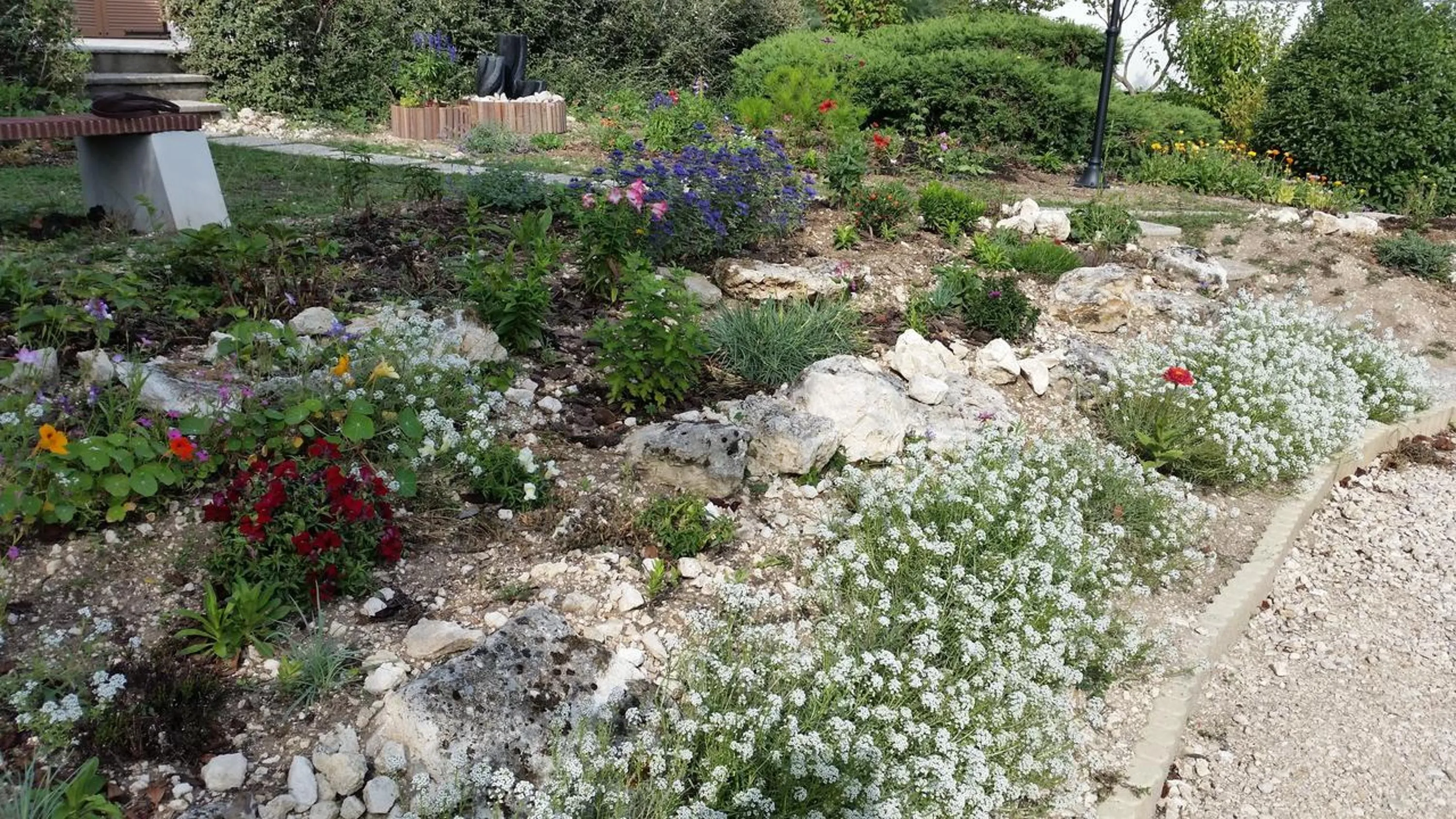Garden in Chambres D'hôtes du Plessis