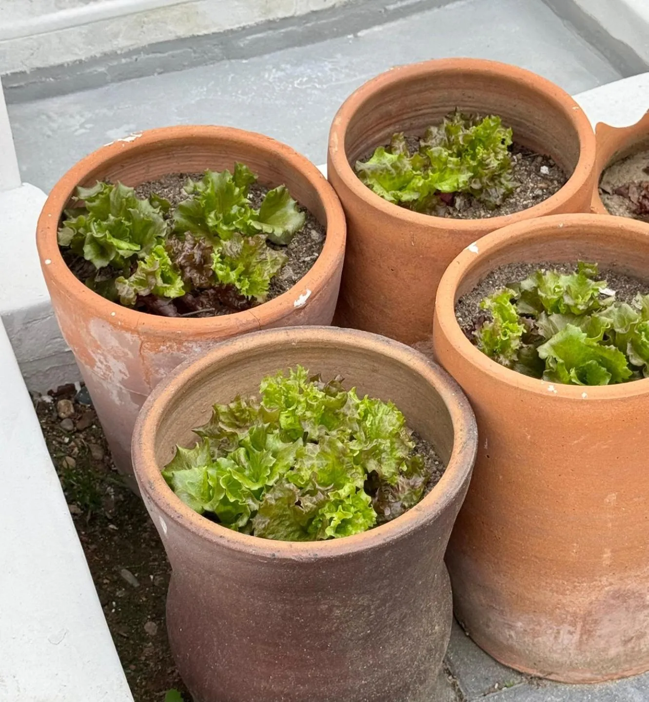 Property building in Jeonju Gaindang Hanok Stay